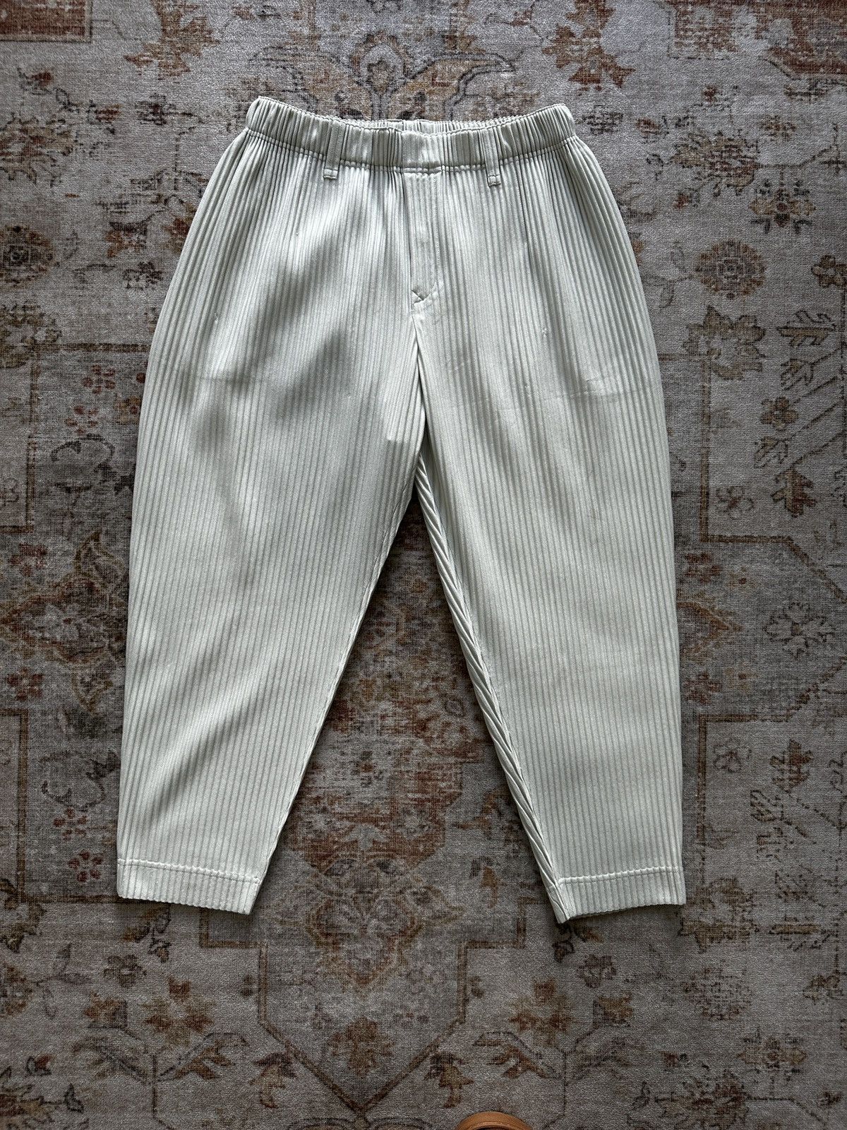 Homme Plisse Issey Miyake Homme Plisse Issey Miyake pants Size US 36 / EU 52 - 1 Thumbnail