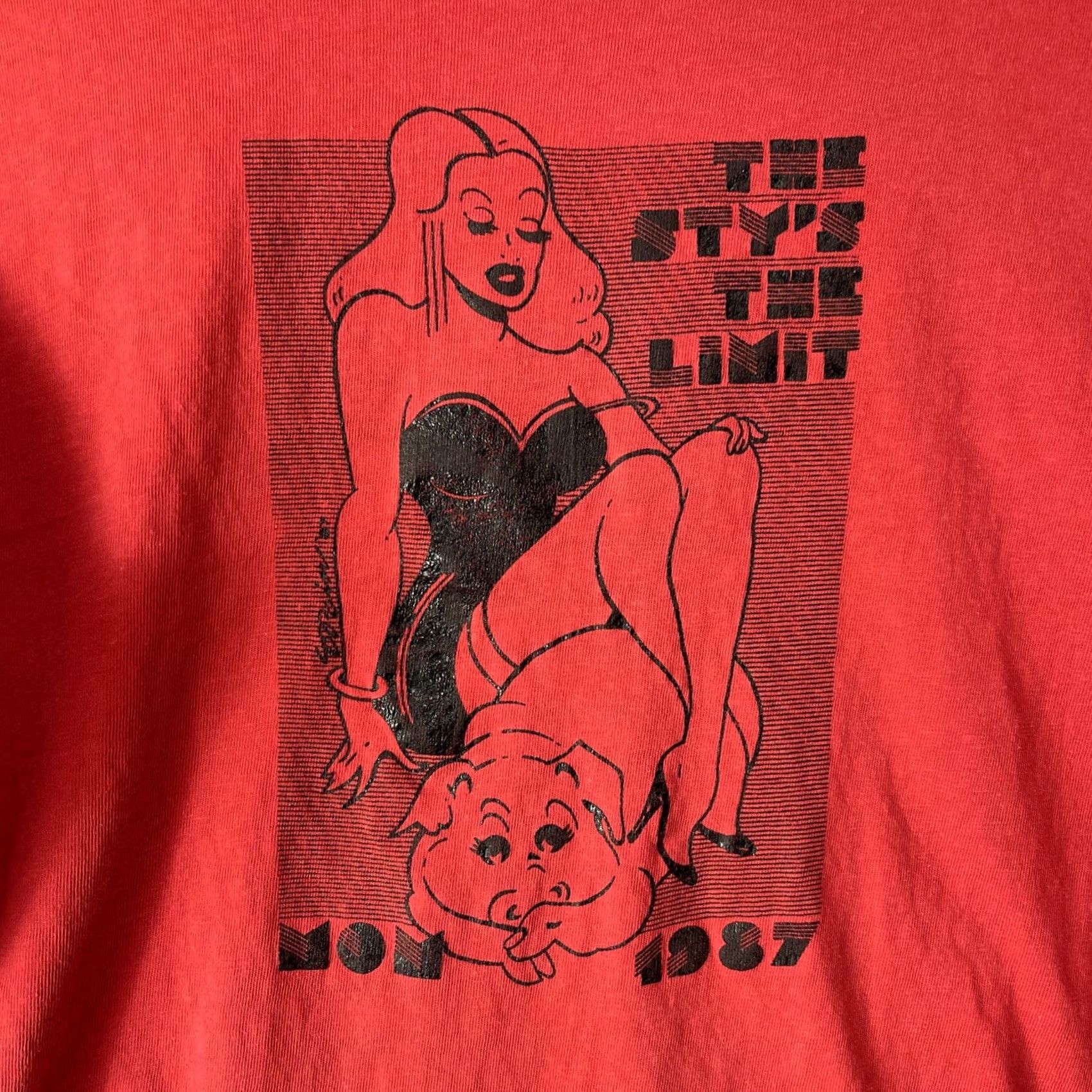 Hanes VINTAGE Hanes The Sty’s The Limit T-Shirt Mens Long Sleeve L Red USA Logo 80s Classic Size US L / EU 52-54 / 3 - 6 Thumbnail