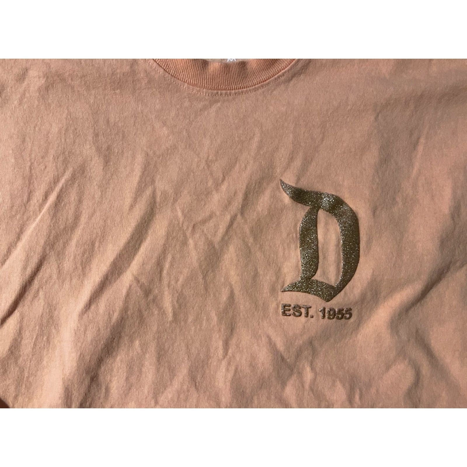Disney Disney Spirit Jersey Coral Glitter Logo Resort Print Long Sleeve Size Medium Unisex Adults Disney T-Shirt Crew Neck Glitter Logo Resort Print Size US M / EU 48-50 / 2 - 2 Thumbnail