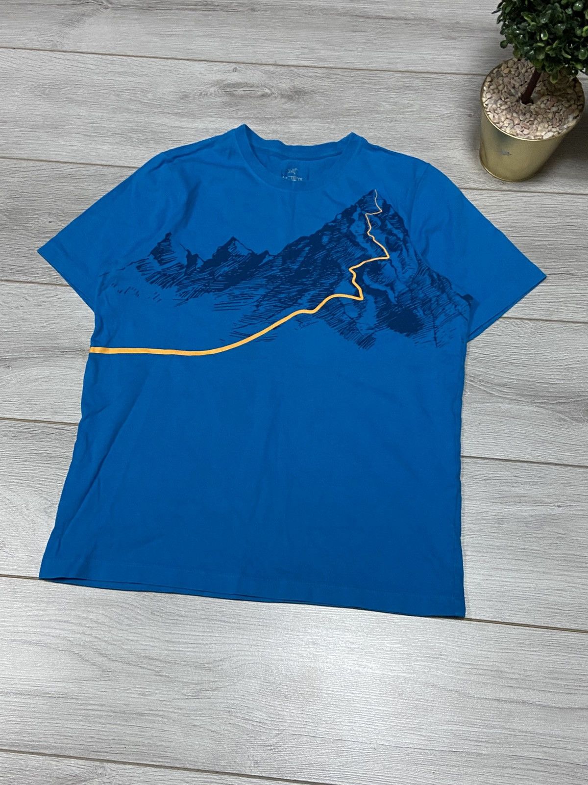 Arc'teryx Arcteryx vintage road to mountains bird logo t-shirt Size US S / EU 44-46 / 1 - 3 Thumbnail
