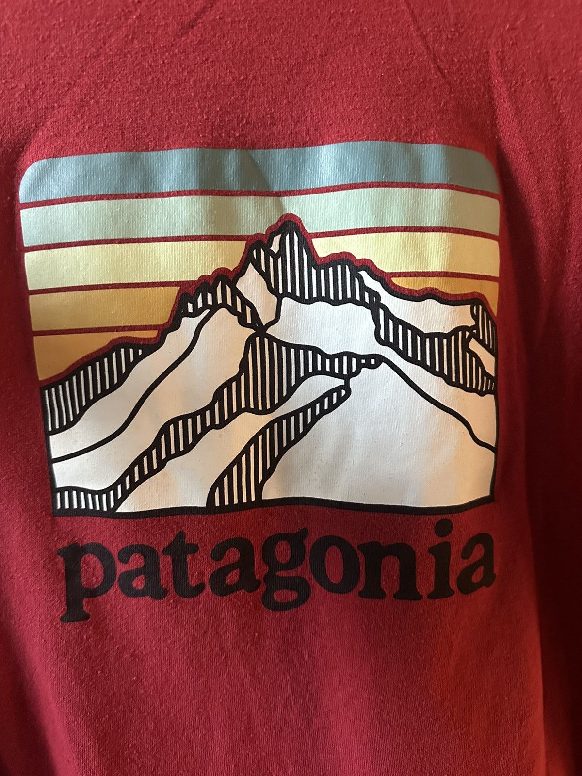 Patagonia Patagonia tee Size US M / EU 48-50 / 2 - 1 Thumbnail