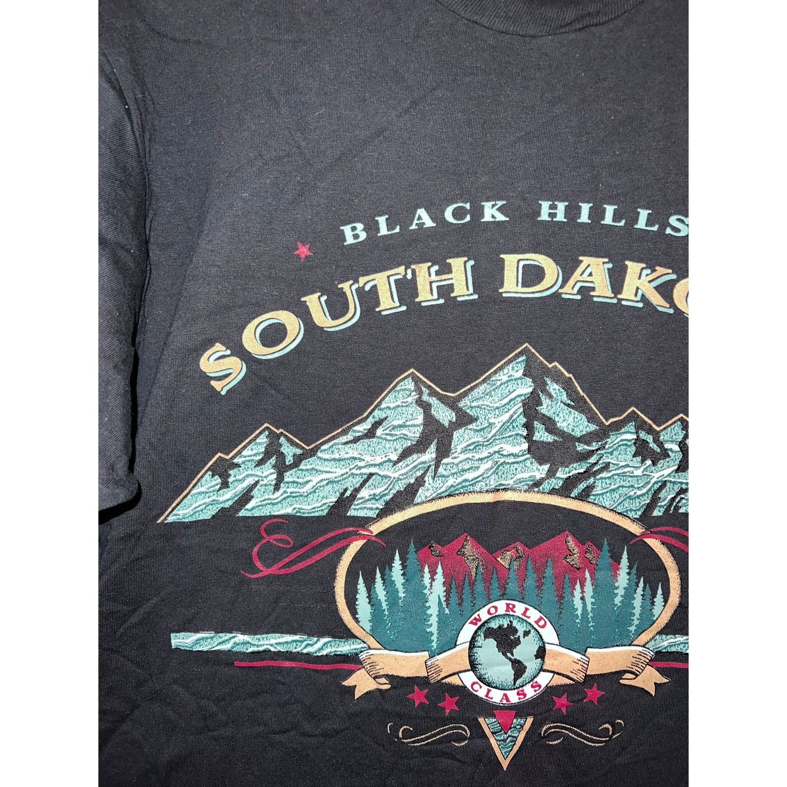 Jerzees 90s Vintage Black Hills SD South Dakota World Class Shirt L Size US L / EU 52-54 / 3 - 3 Thumbnail