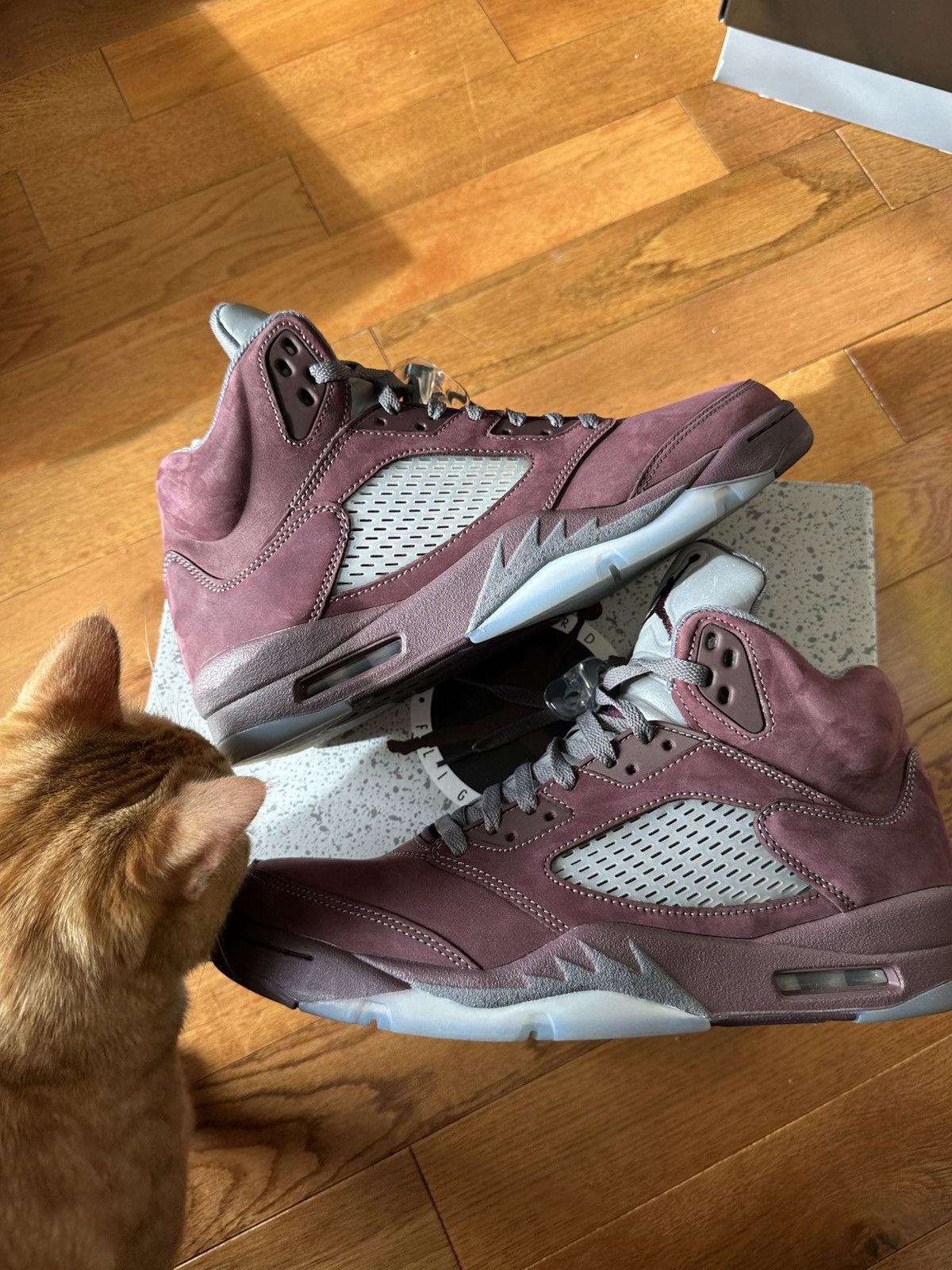 Air Jordan 5 Burgundy