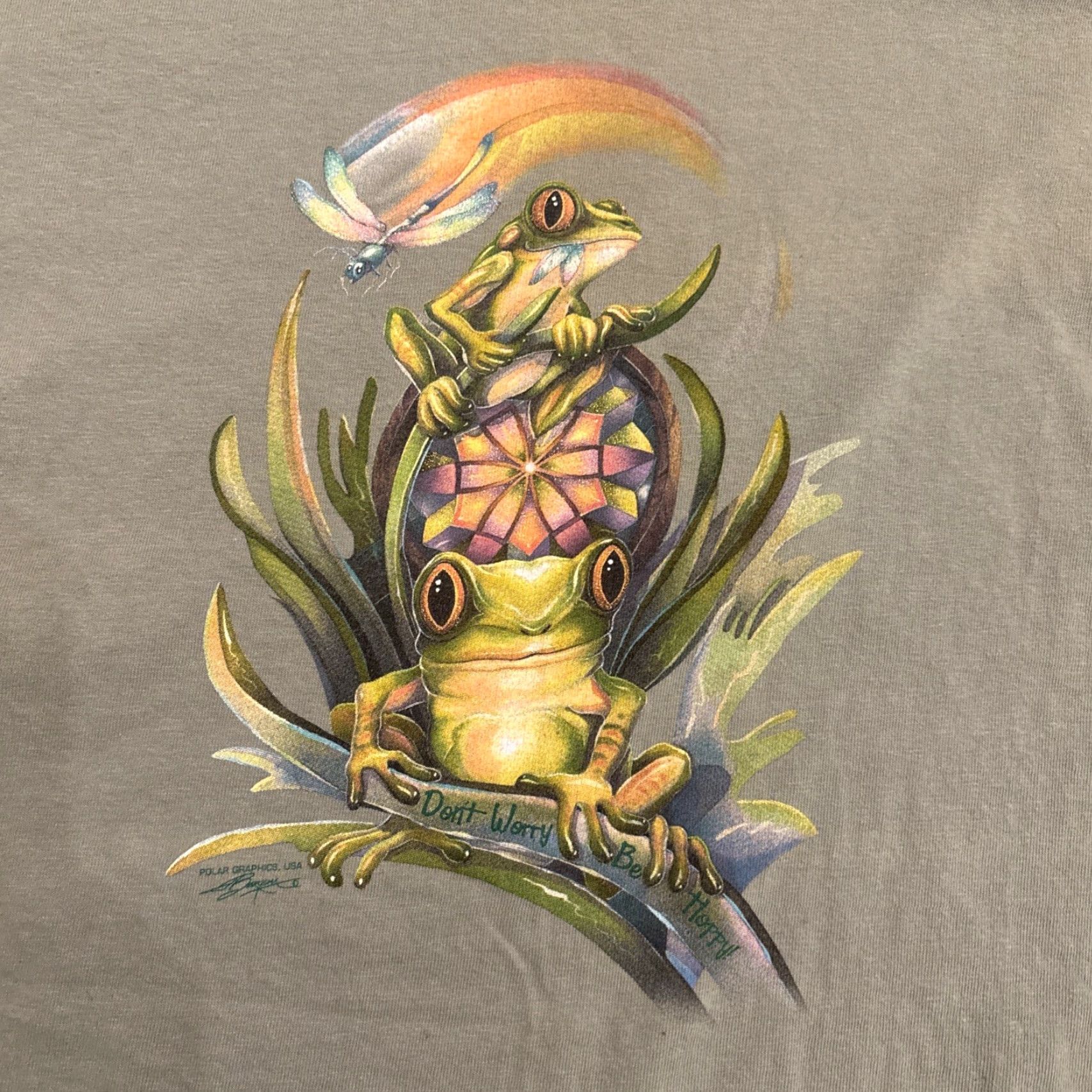 Vintage VINTAGE Hanes Beefy T Green Frog Dragonfly T-Shirt XL Coupeville WA Whidbey Island Unisex Adults Size US XL / EU 56 / 4 - 2 Thumbnail
