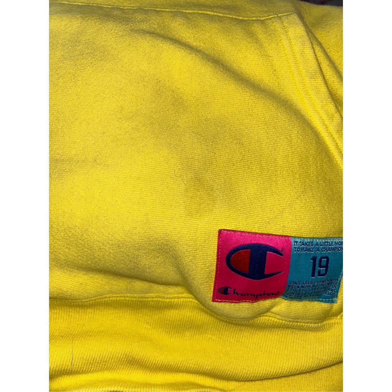 Champion Champion Reverse Weave Hoodie Heavy Sweatshirt Mens Medium Y Size US M / EU 48-50 / 2 - 5 Thumbnail