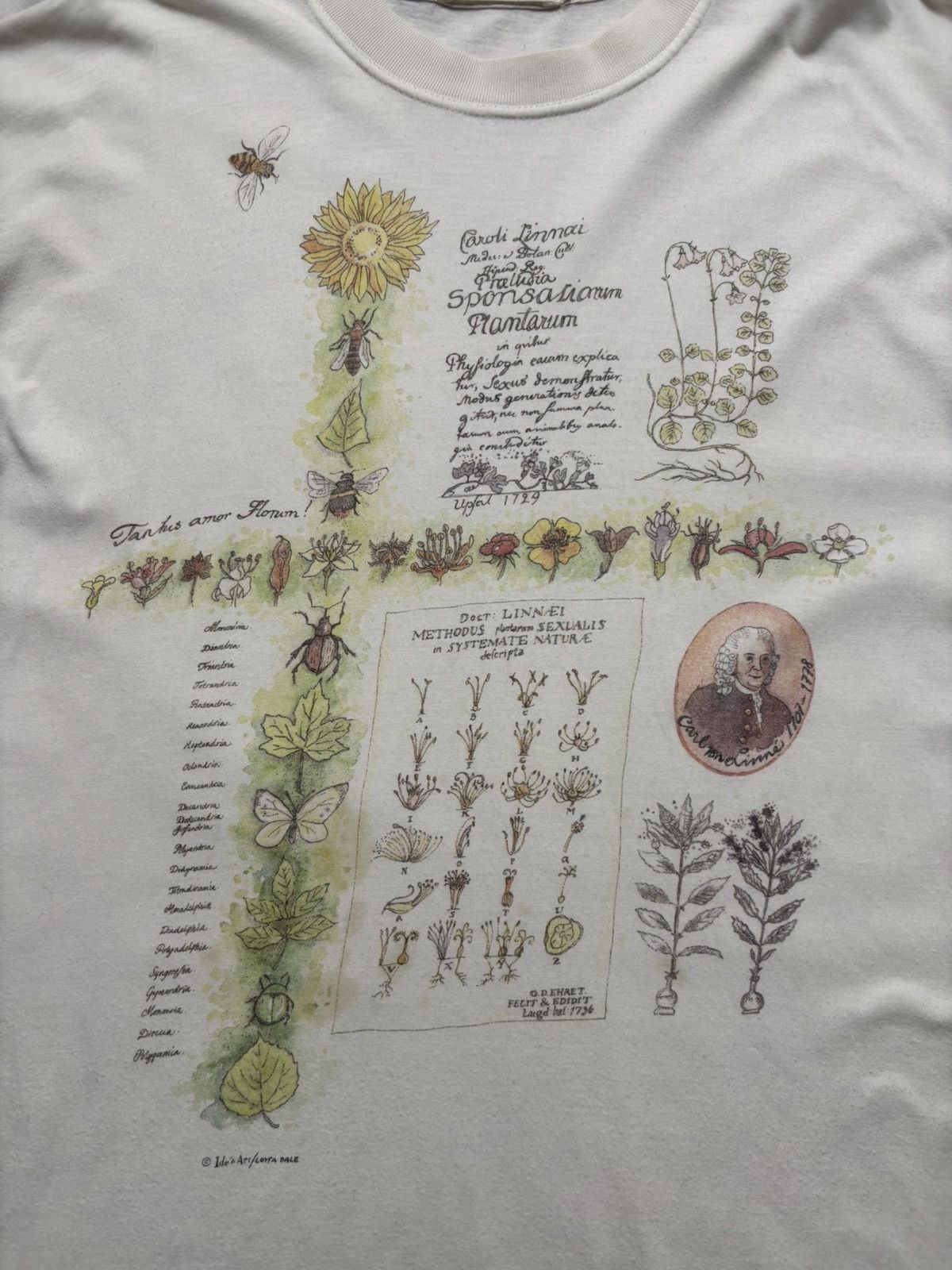 Vintage Rare VTG Linnaeus Methodus Plantarum Tee Lotta Dale Science Size US L / EU 52-54 / 3 - 4 Thumbnail