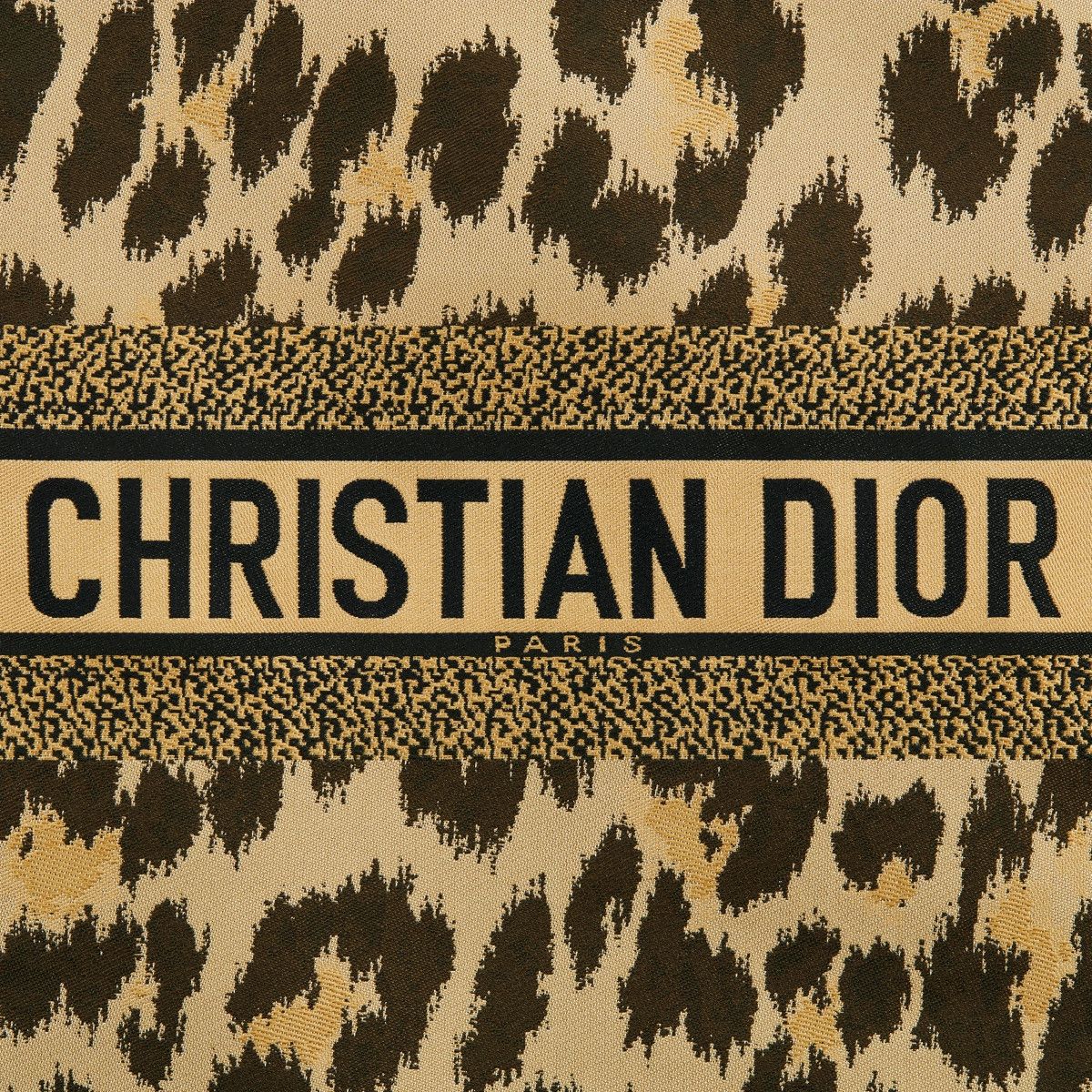 Dior o1bcso1str0125 Beg in Beige & Multicolor Size ONE SIZE - 3 Thumbnail