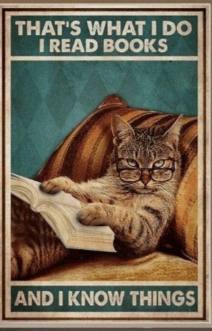 Other Pack 10 Cat funny poster read book Size 28 - 1 Preview