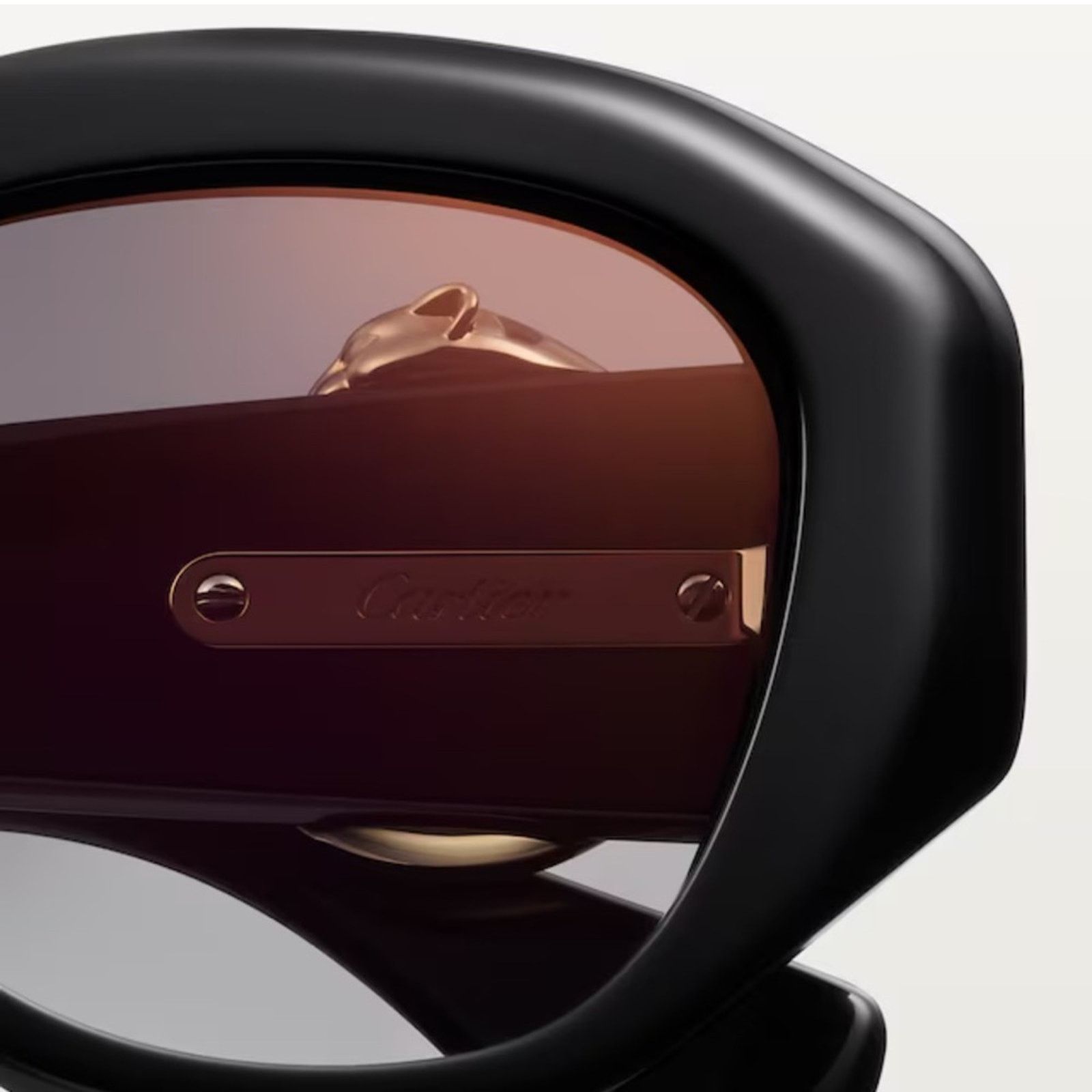 Cartier New! Cartier CT0502S 001 Panthere Sunglasses, Authentic Size ONE SIZE - 7 Thumbnail