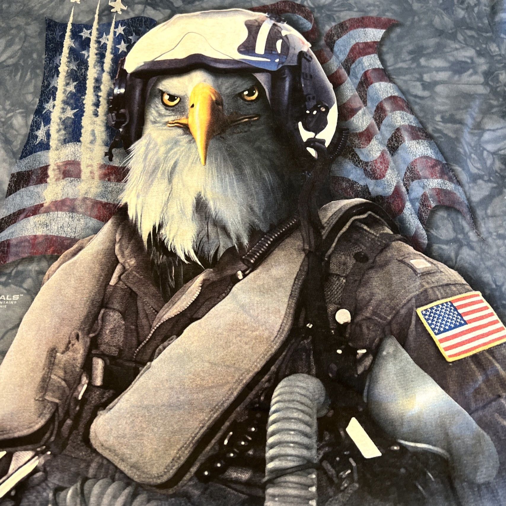 The Mountain The Mountain Manimals Eagle Pilot T-Shirt XL Long Sleeve Crew Neck Men Blue Graphic 2011 Vincent Hie Size US XL / EU 56 / 4 - 2 Thumbnail