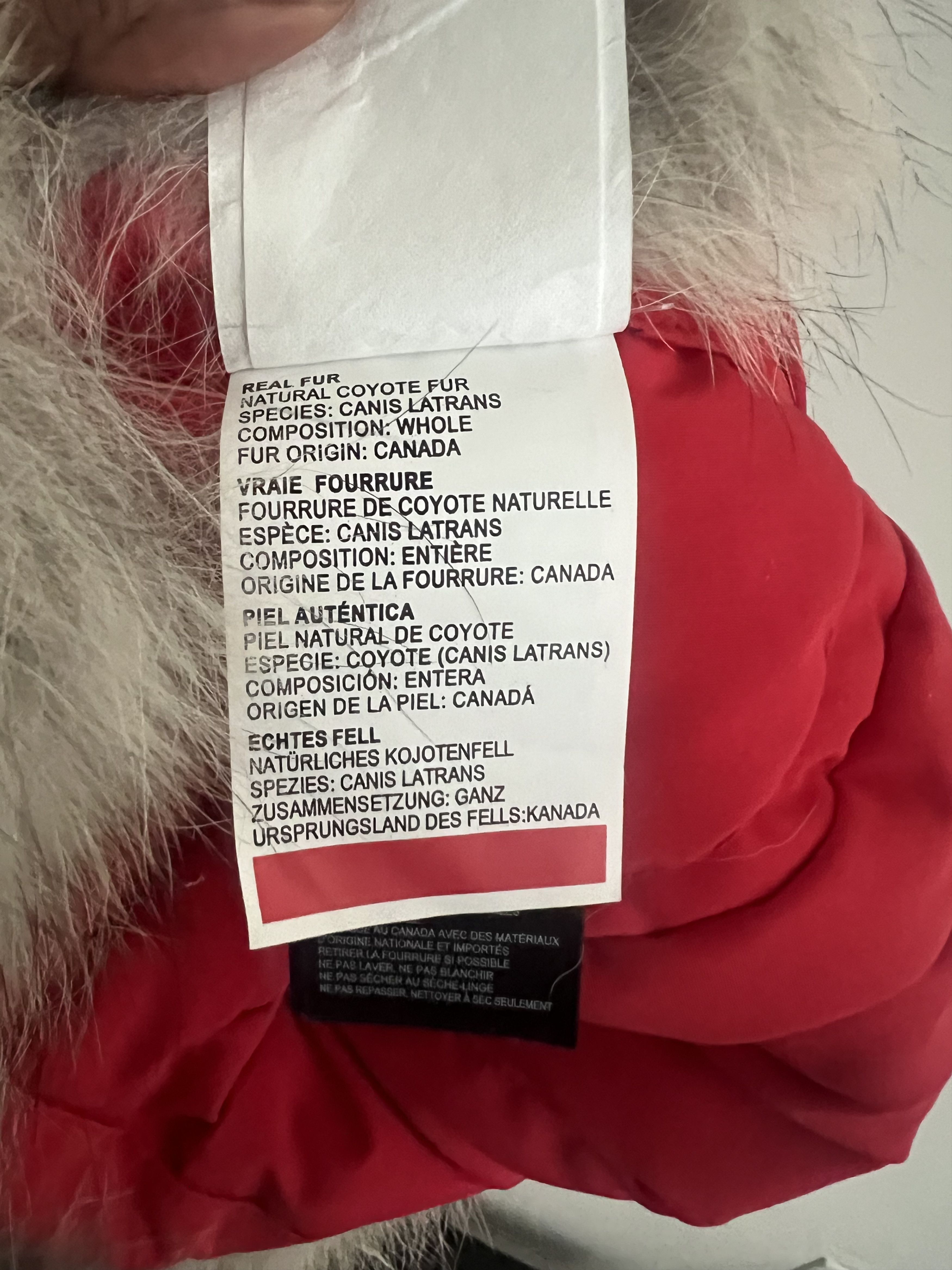 Canada Goose Canada goose fur hat size (L/XL) Size ONE SIZE - 11 Thumbnail