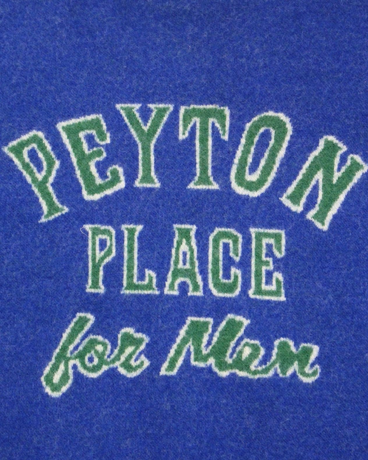 PPFM 1990S PEYTON PLACE FOR MEN PPFM JAPAN BLUE SWEATSHIRT Size US M / EU 48-50 / 2 - 4 Thumbnail