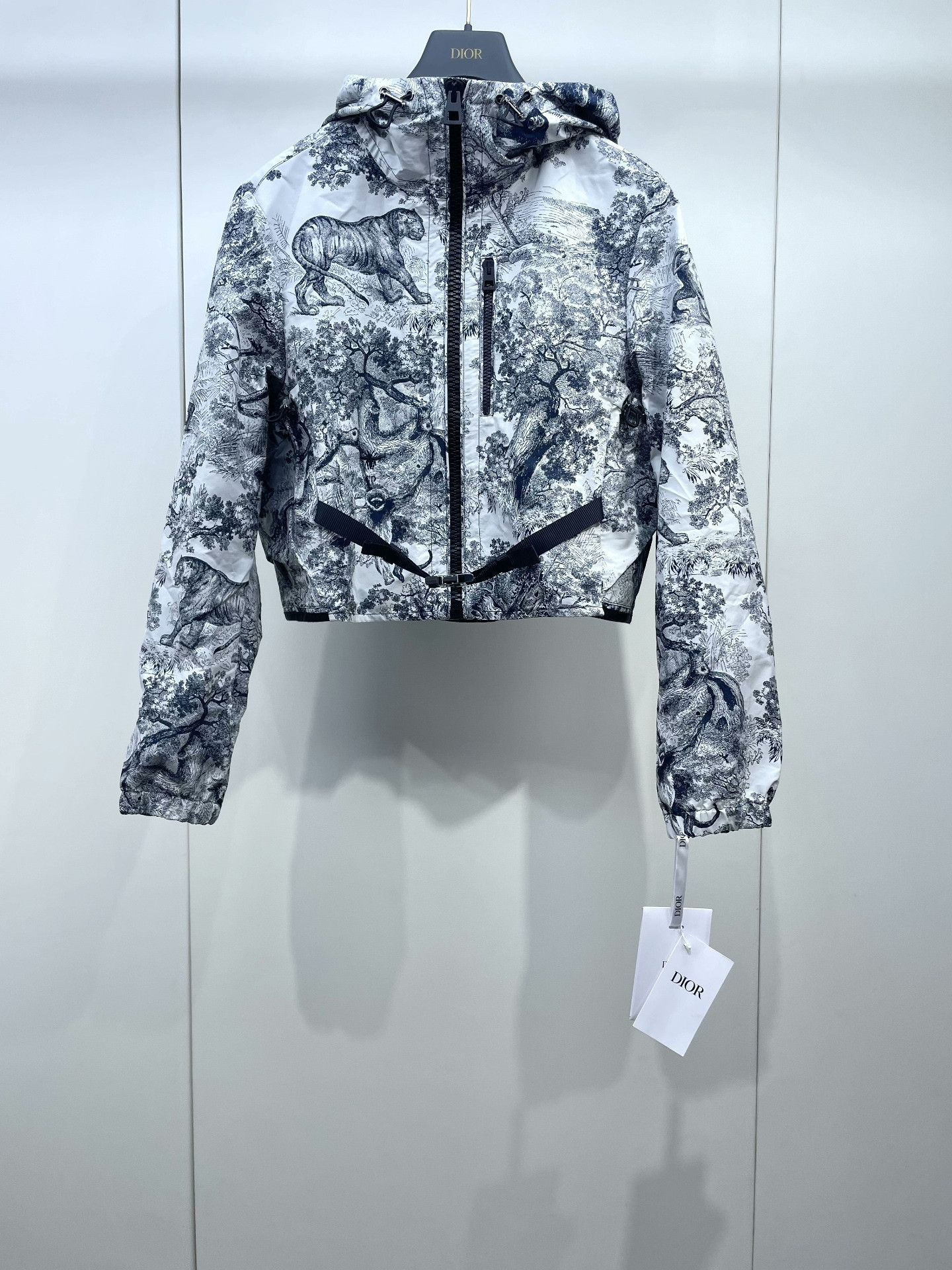 Dior Dior 2025 Short Hooded Jacket Size XS / US 0-2 / IT 36-38 - 1 Thumbnail