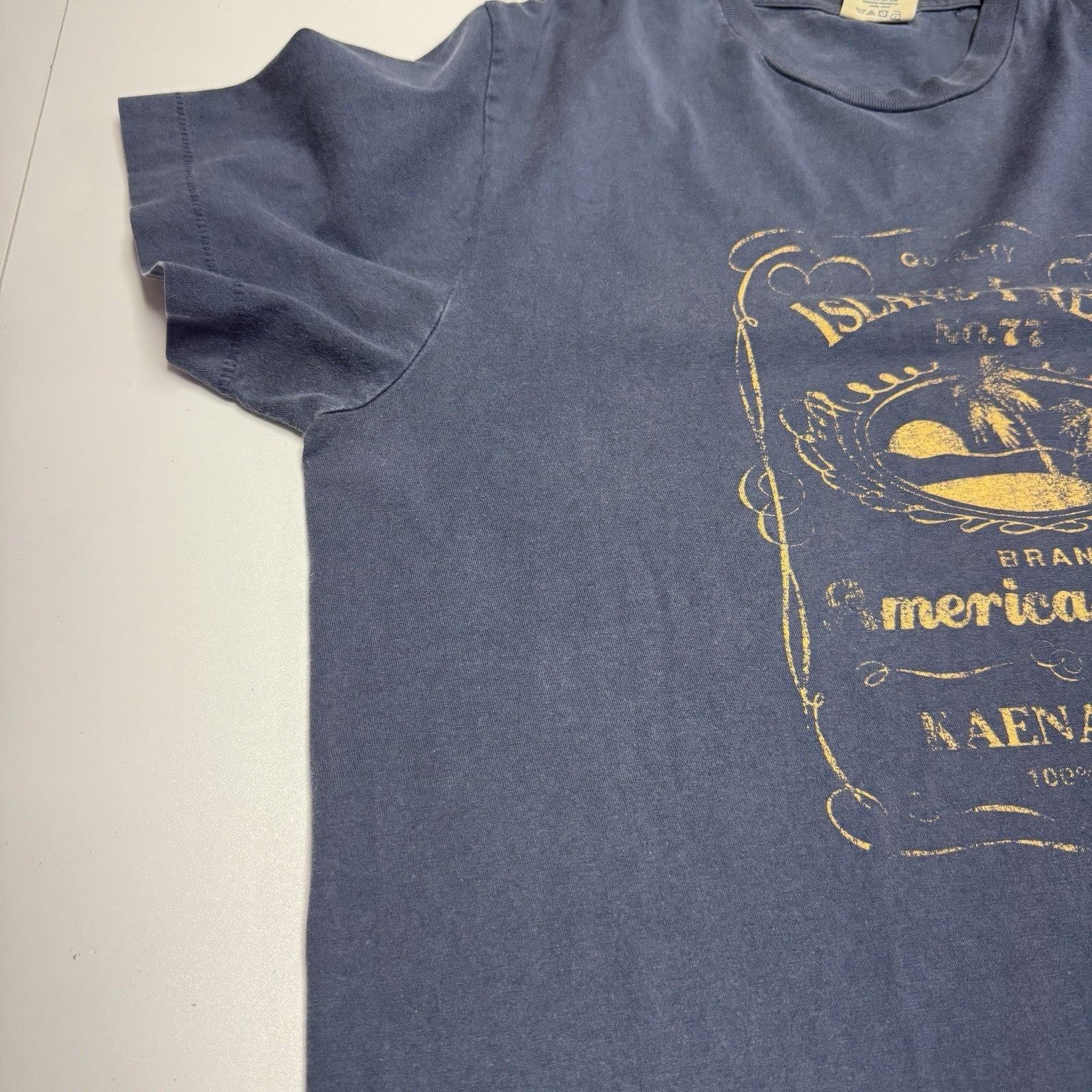 American Eagle Outfitters American Eagle Outfitters T Shirt Small 20.5x27.5 Blue Islan Size US S / EU 44-46 / 1 - 6 Thumbnail