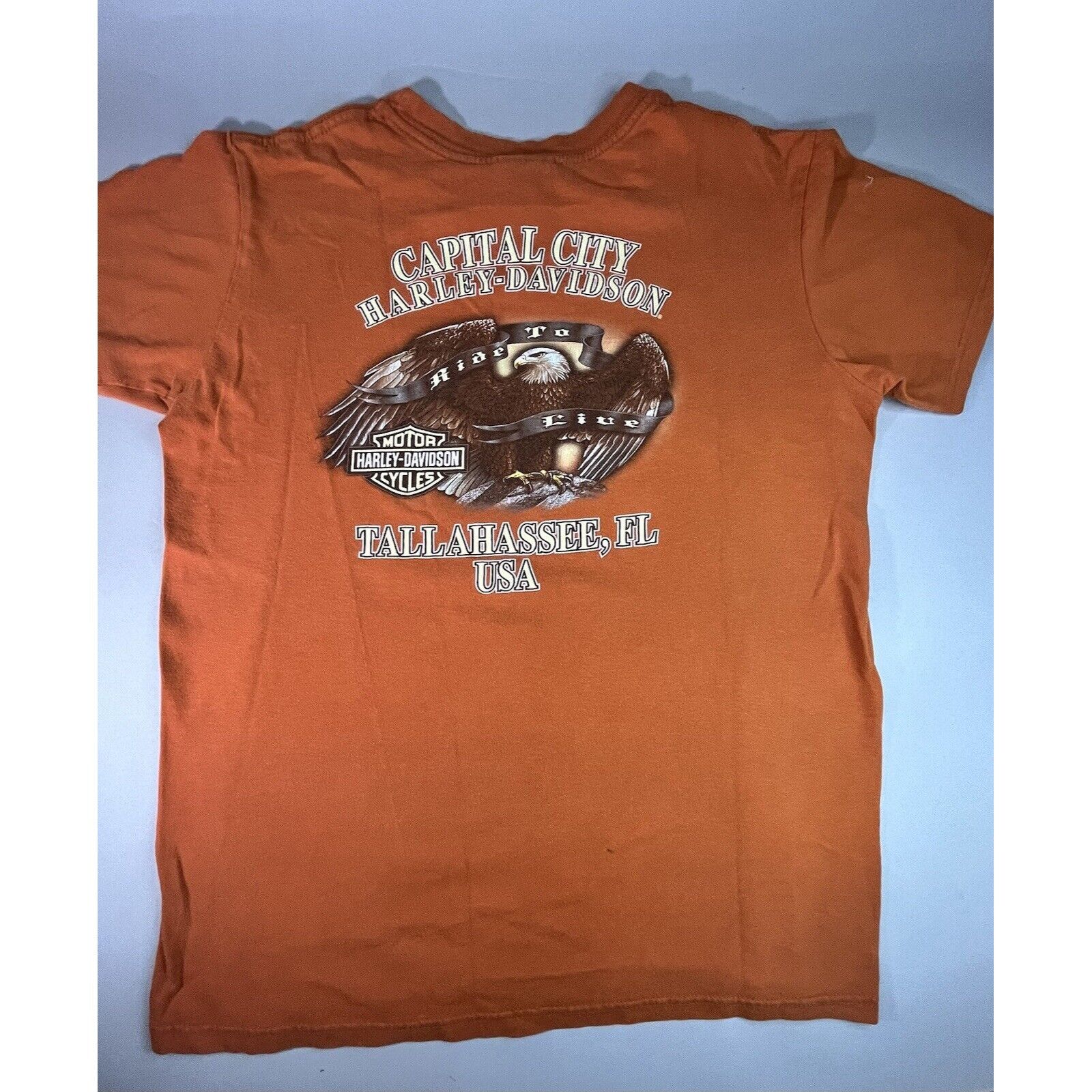 Harley Davidson 2013 Harley Davidson T-shirt Capital City Tallahassee Ride T Size US M / EU 48-50 / 2 - 2 Thumbnail