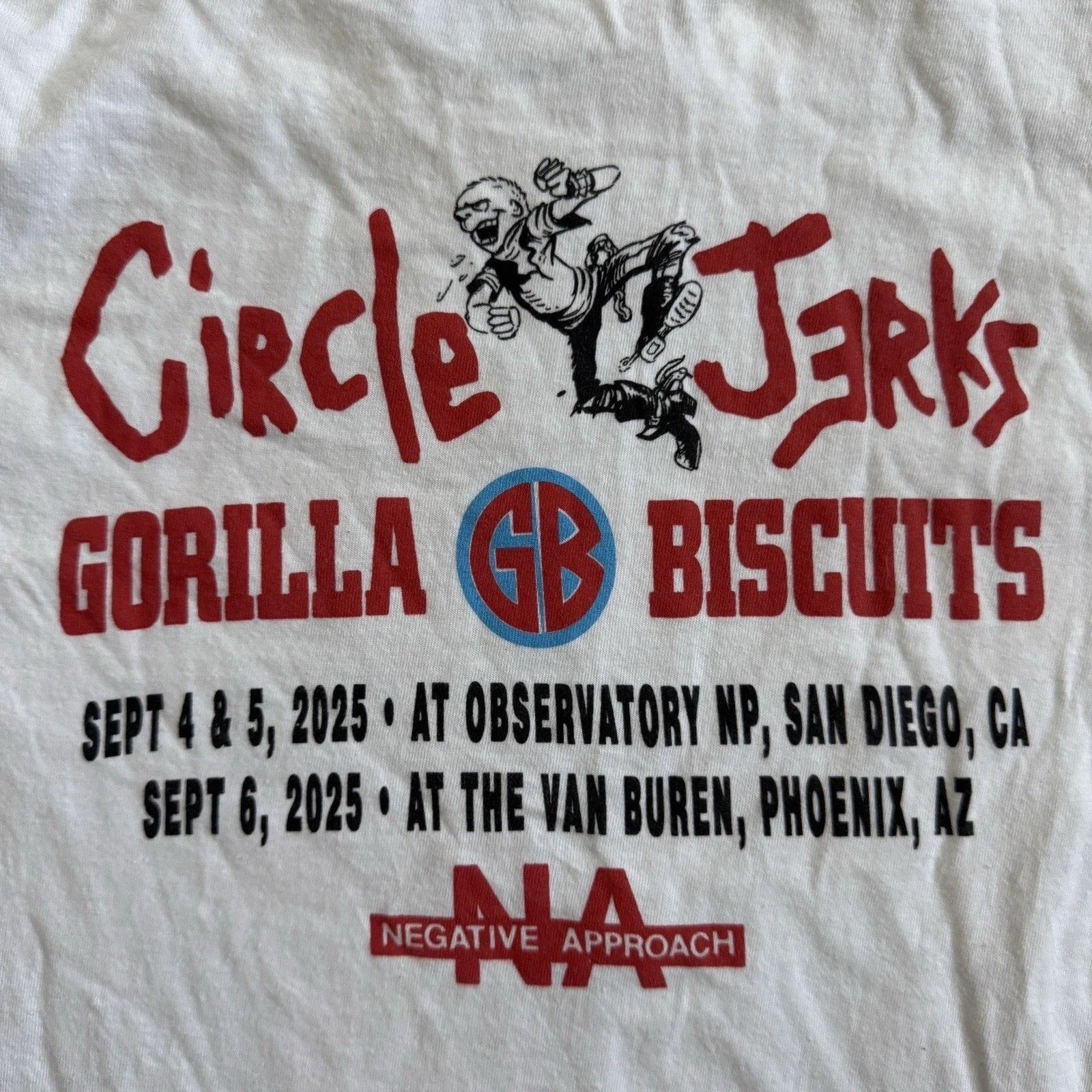 Comfort Colors 2025 Circle Jerks Gorilla Biscuits Tour T Shirt Shawn Kerri Size US S / EU 44-46 / 1 - 5 Thumbnail
