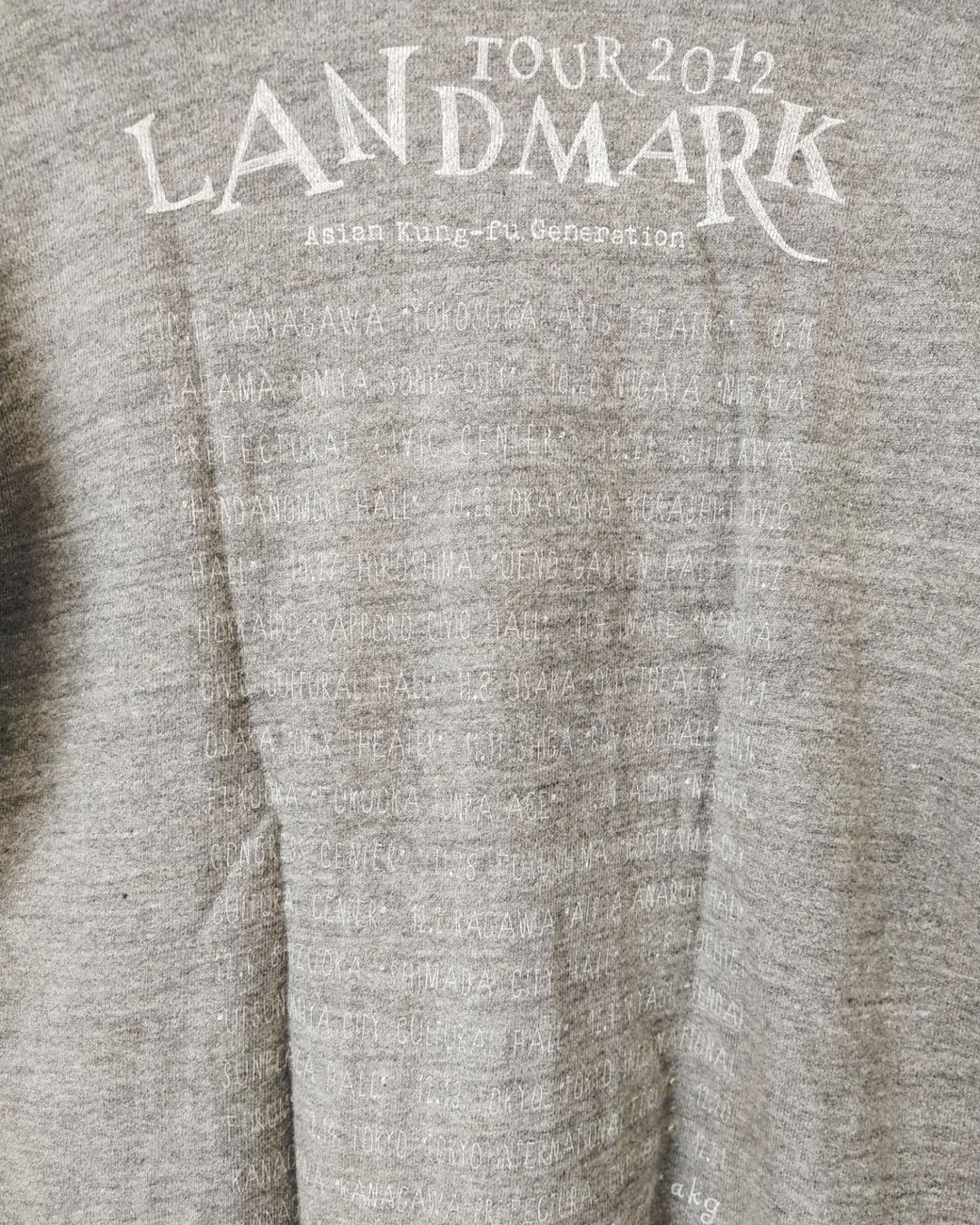 Band Tees × Japanese Brand Asian Kungfu Generation Landmark Tour 2012 Band Hoodie Size M / US 6-8 / IT 42-44 - 4 Thumbnail