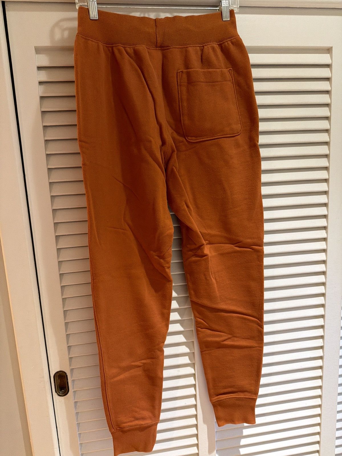 Champion Champion reverse weave burnt orange sweatpants small Size US 28 / EU 44 - 3 Thumbnail