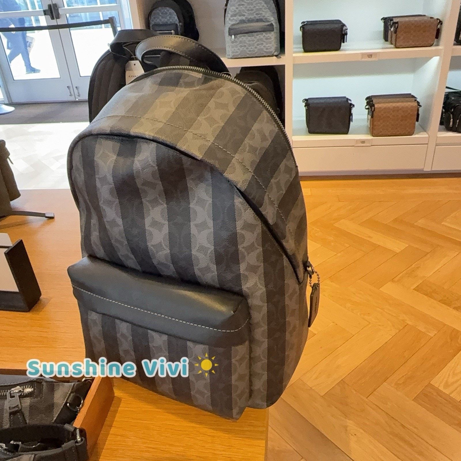 Coach NWT Coach Taylor Backpack Stripes Gunmetal/Black/Grey CDX88 Size ONE SIZE - 2 Thumbnail