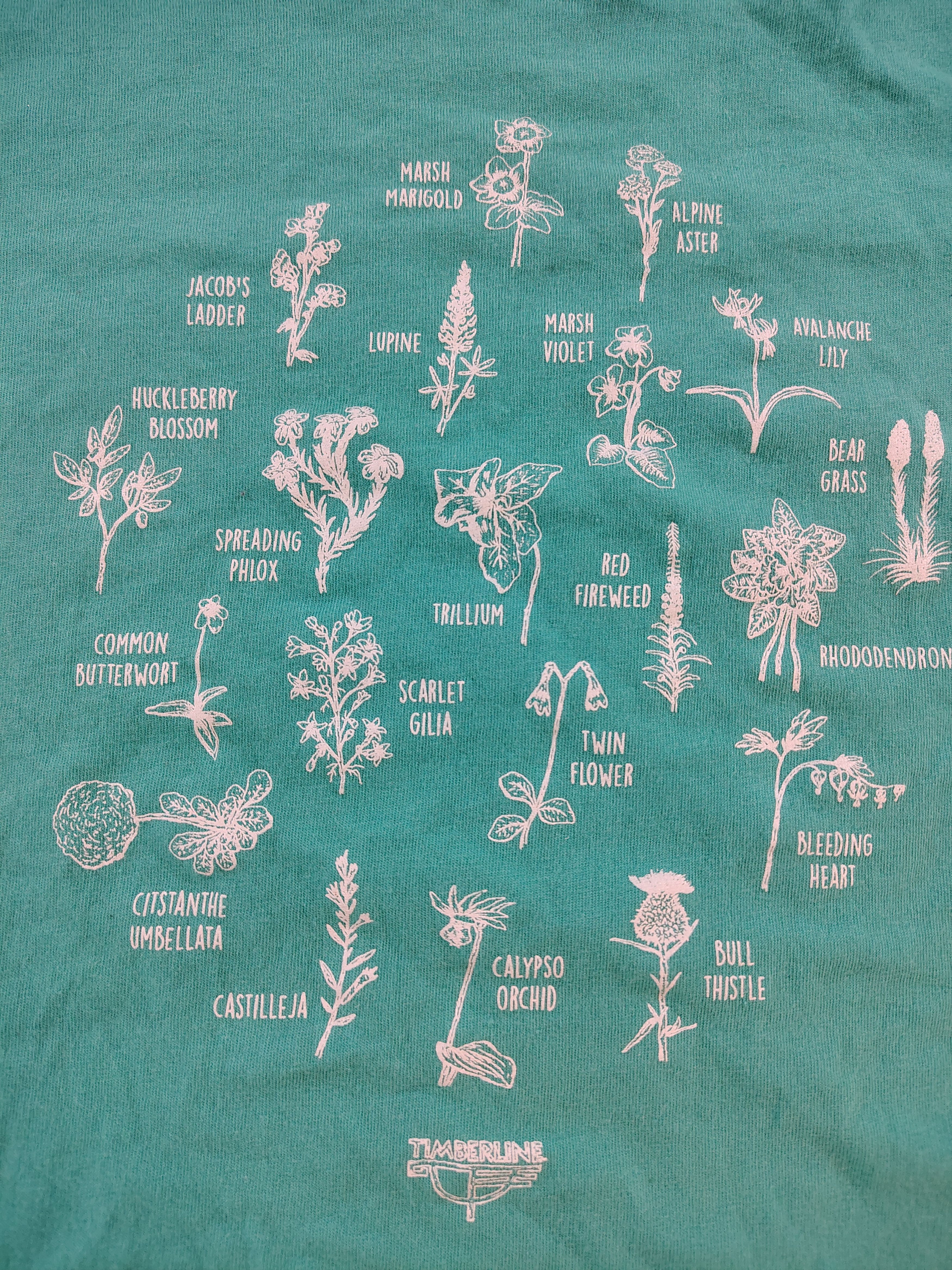Other Women's Small Sea Green Timberline Lodge Foliage T-Shirt Size S / US 4 / IT 40 - 2 Thumbnail