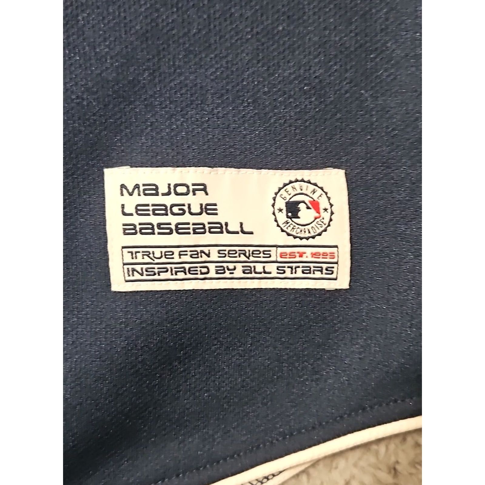 Twins Minnesota Twins Shirt Sewn Logo Embroidered True Fan Large Baseball Jersey Men Size US L / EU 52-54 / 3 - 4 Thumbnail