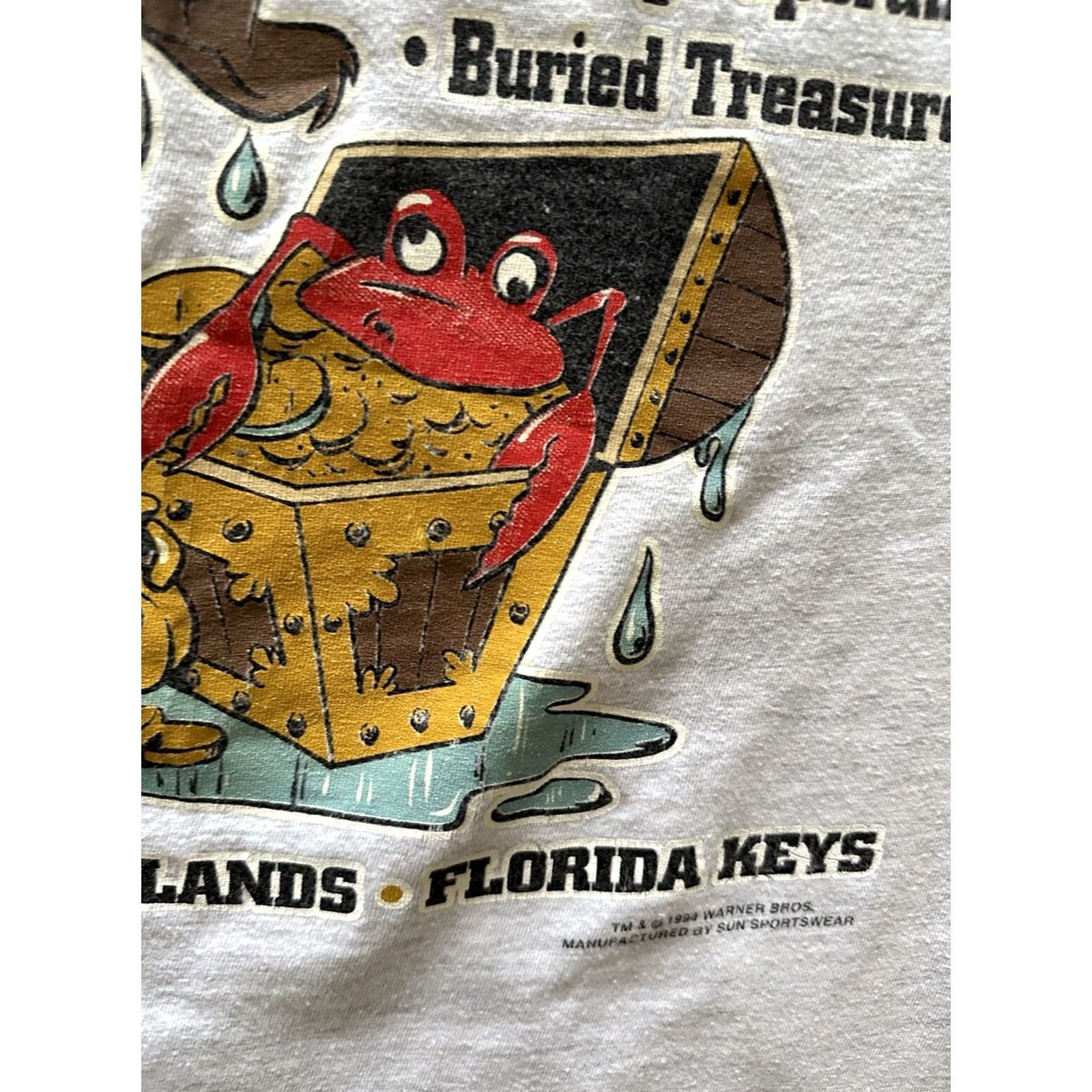 Vintage 90s Vintage Taz Devil Treasure Hunters Baseball Jersey Shirt Large Gray - Unisex Adult Size US L / EU 52-54 / 3 - 5 Thumbnail
