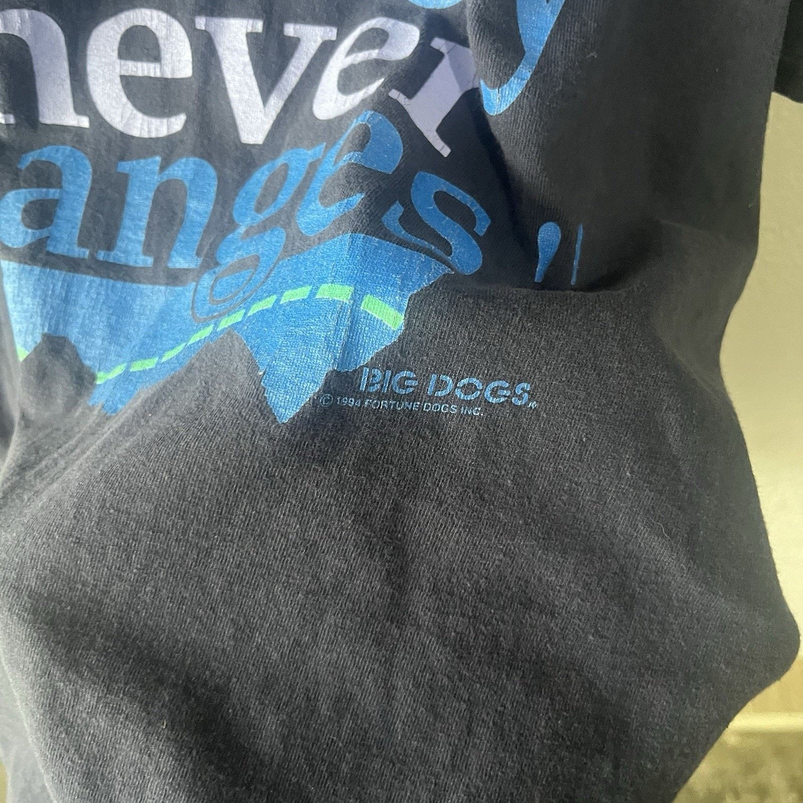 Big Dogs Vintage 1996 Blue Big Dogs Tshirt Men XL Single Stitch Short Size US XL / EU 56 / 4 - 3 Thumbnail