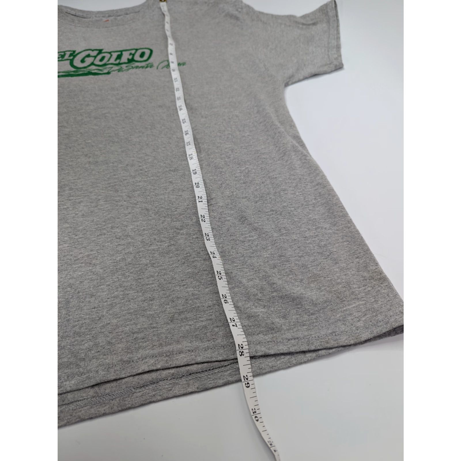 Hanes Hanes T-Shirt Unisex Adults Short Sleeve Gray Size L El Golfo De Santa Clara Sonora Mexico Vintage Size US L / EU 52-54 / 3 - 5 Thumbnail