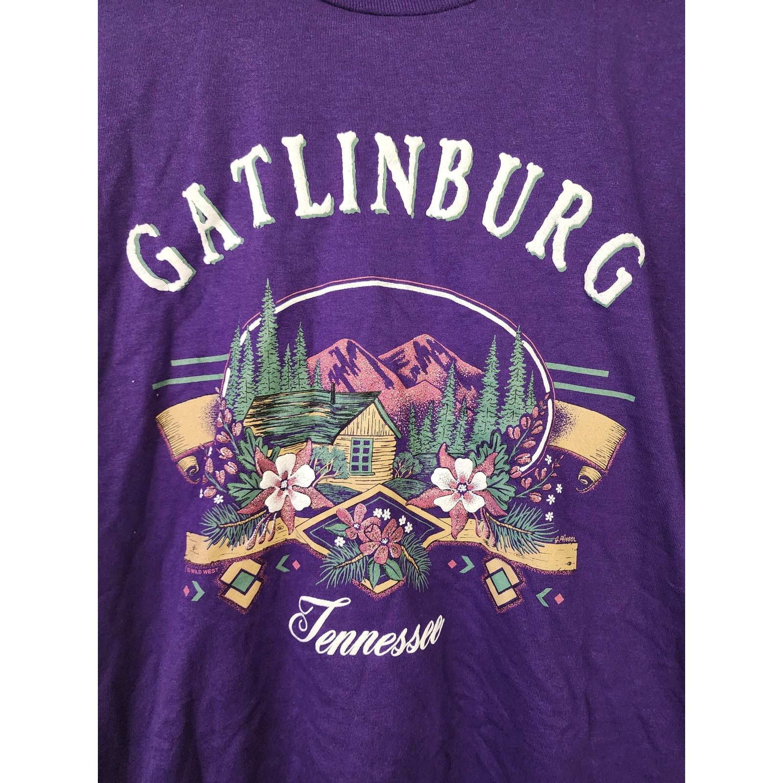 Jerzees Vintage Gatlinburg Tennessee Shirt Tee T-shirt 90s VTG Large Size US L / EU 52-54 / 3 - 2 Thumbnail