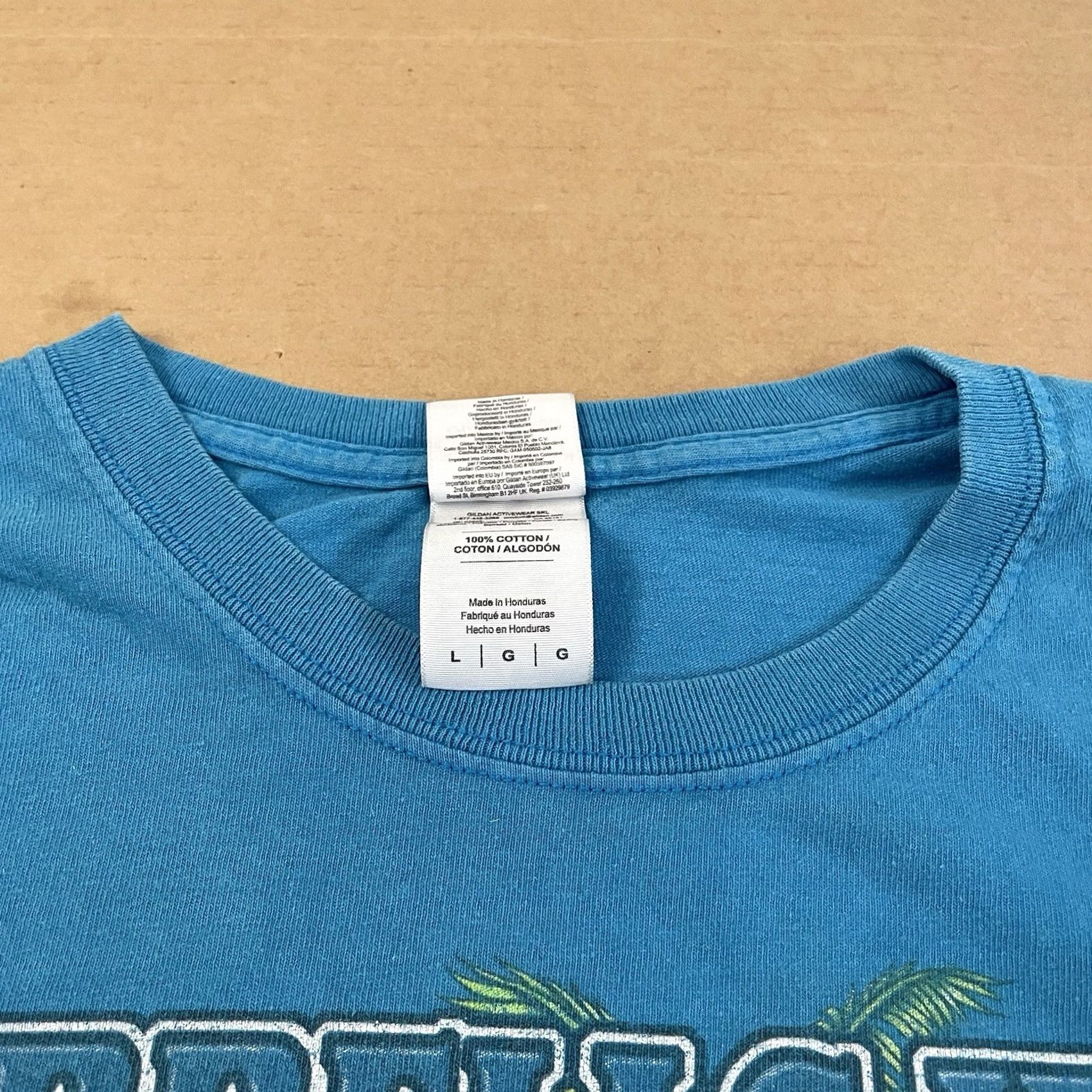 Gildan Gildan South Carolina Spring Rally Shirt Mens Adult Large Blue T-Shirt USA Biker Shirt Size US L / EU 52-54 / 3 - 7 Thumbnail