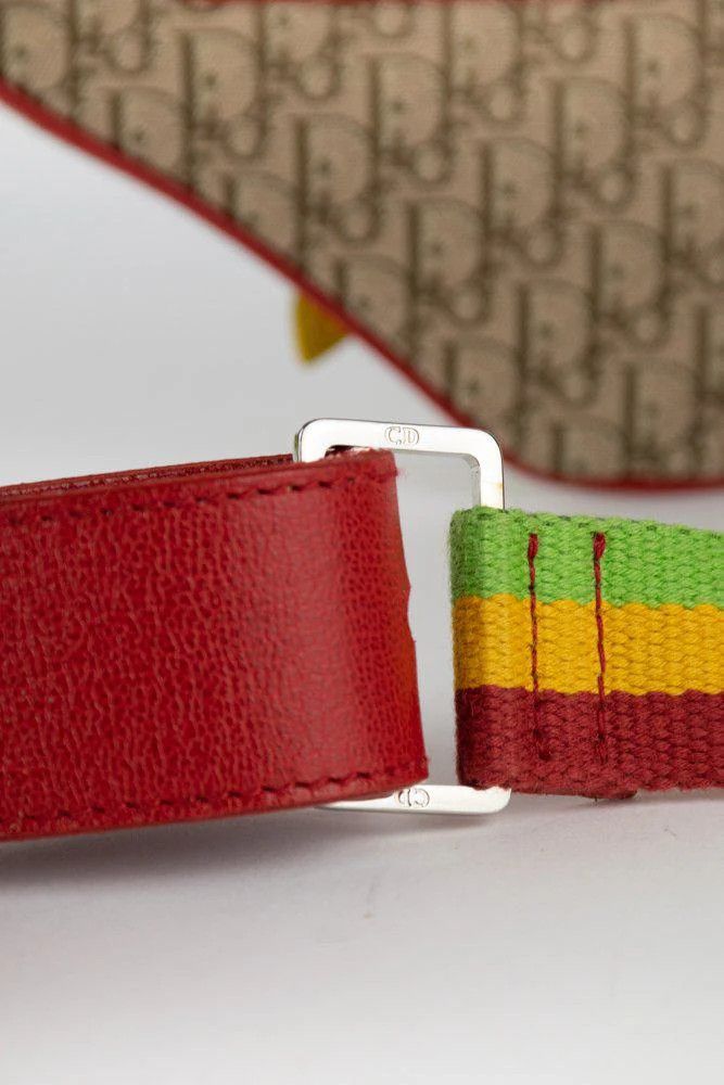 Dior Dior Rasta Trodder Saddle Belt Bag Size ONE SIZE - 7 Thumbnail