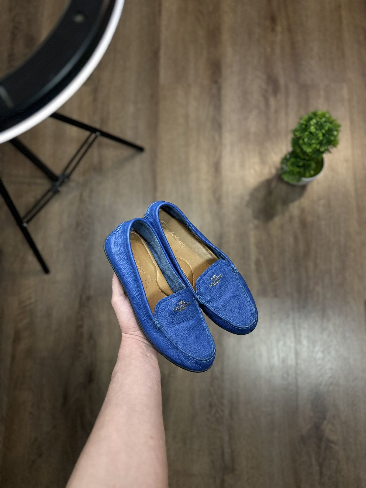 Coach Coach Marley Driver Loafers Size US 6.5 / IT 36.5 - 1 Thumbnail