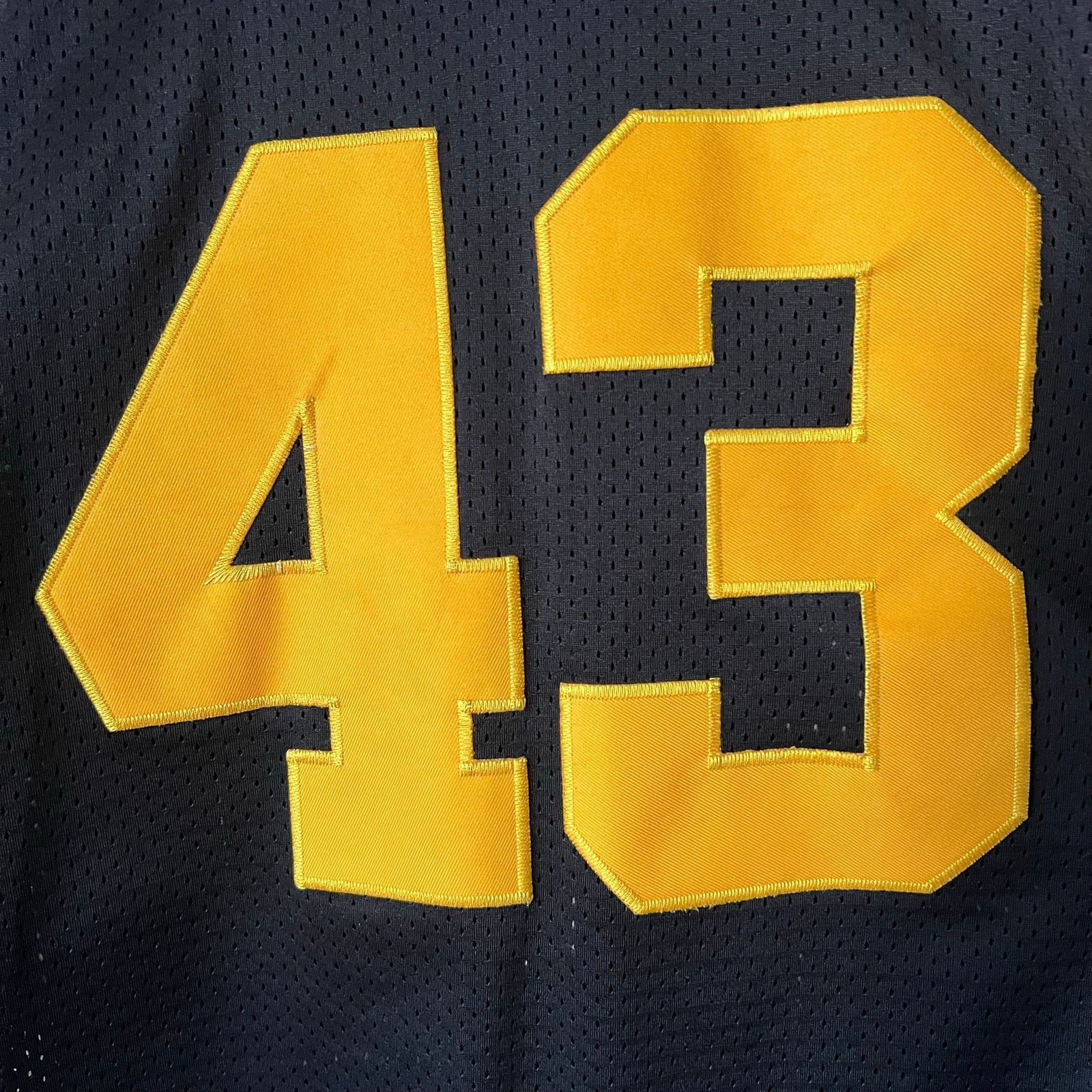 Reebok Troy Polamalu Pittsburgh Steelers Jersey | 75th Patch | 52 Size US XL / EU 56 / 4 - 13 Thumbnail