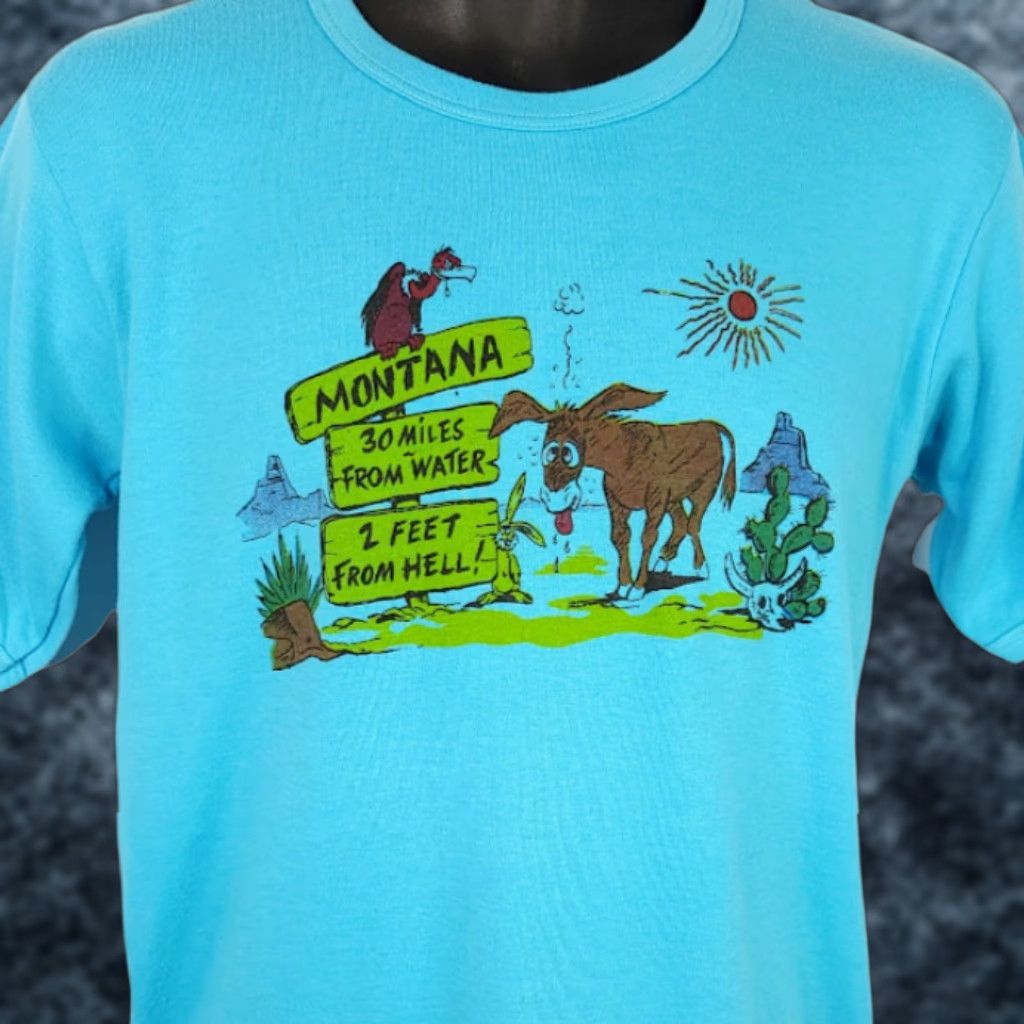 Vintage VINTAGE Montana Desert T Shirt Mens Size S Blue Cotton Blend 80s Vulture Donkey Rabbit Cactus Allen Tee Shirt Mens Size US S / EU 44-46 / 1 - 1 Thumbnail