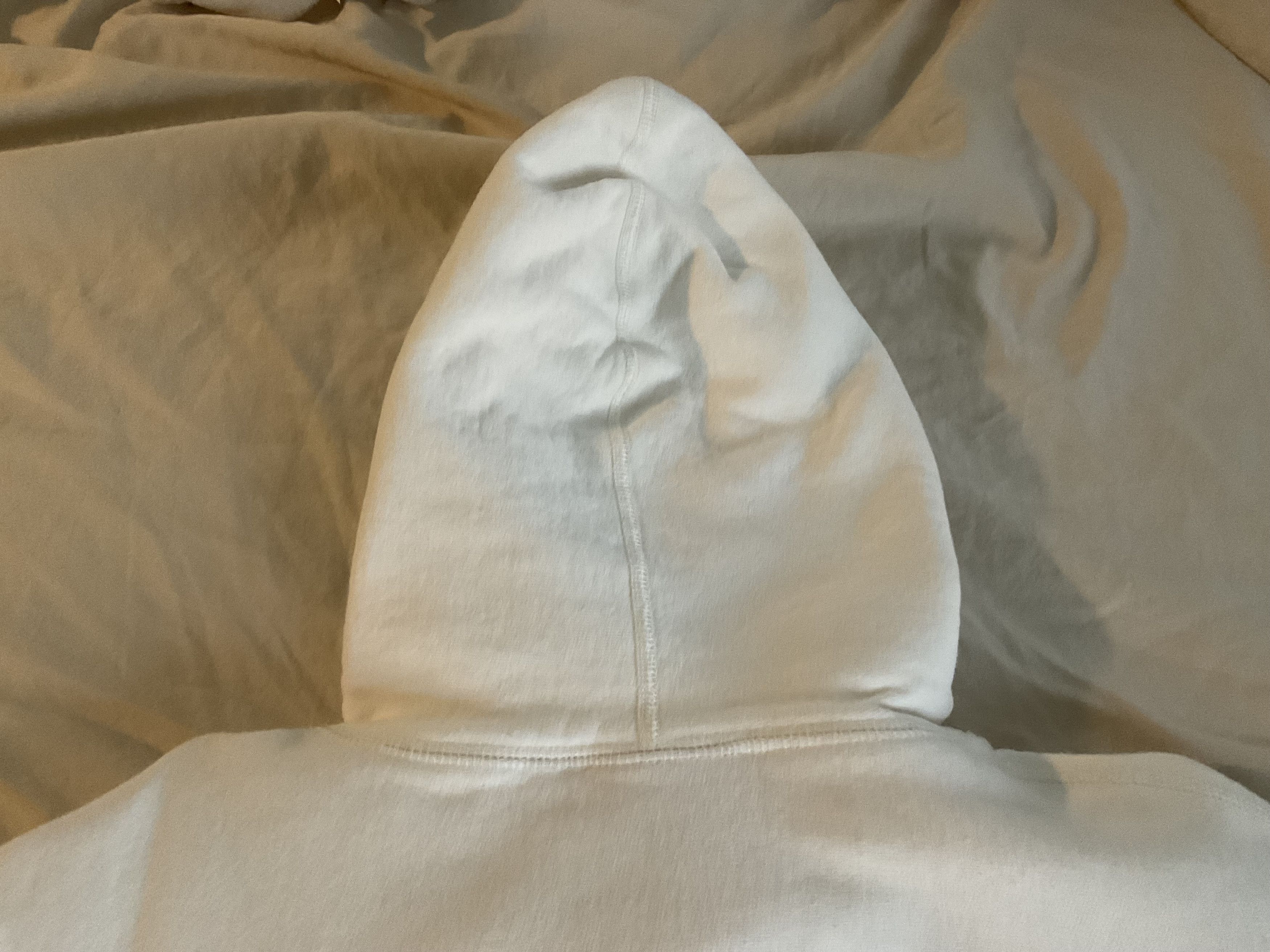 Supreme Supreme Collegiate Hoodie Size US M / EU 48-50 / 2 - 7 Thumbnail