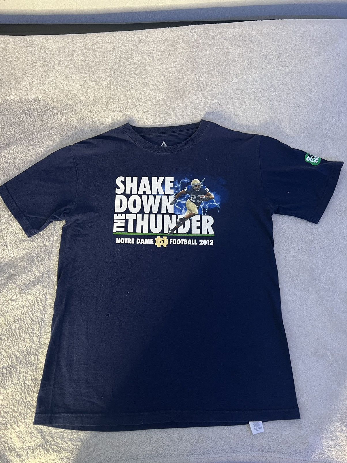 Shake Down the Thunder