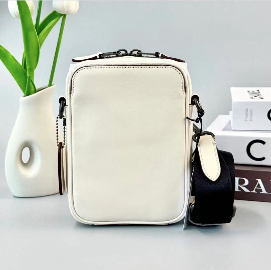 Coach Disney X Coach Stanton Crossbody With Winter Motif CM028 Size ONE SIZE - 2 Thumbnail