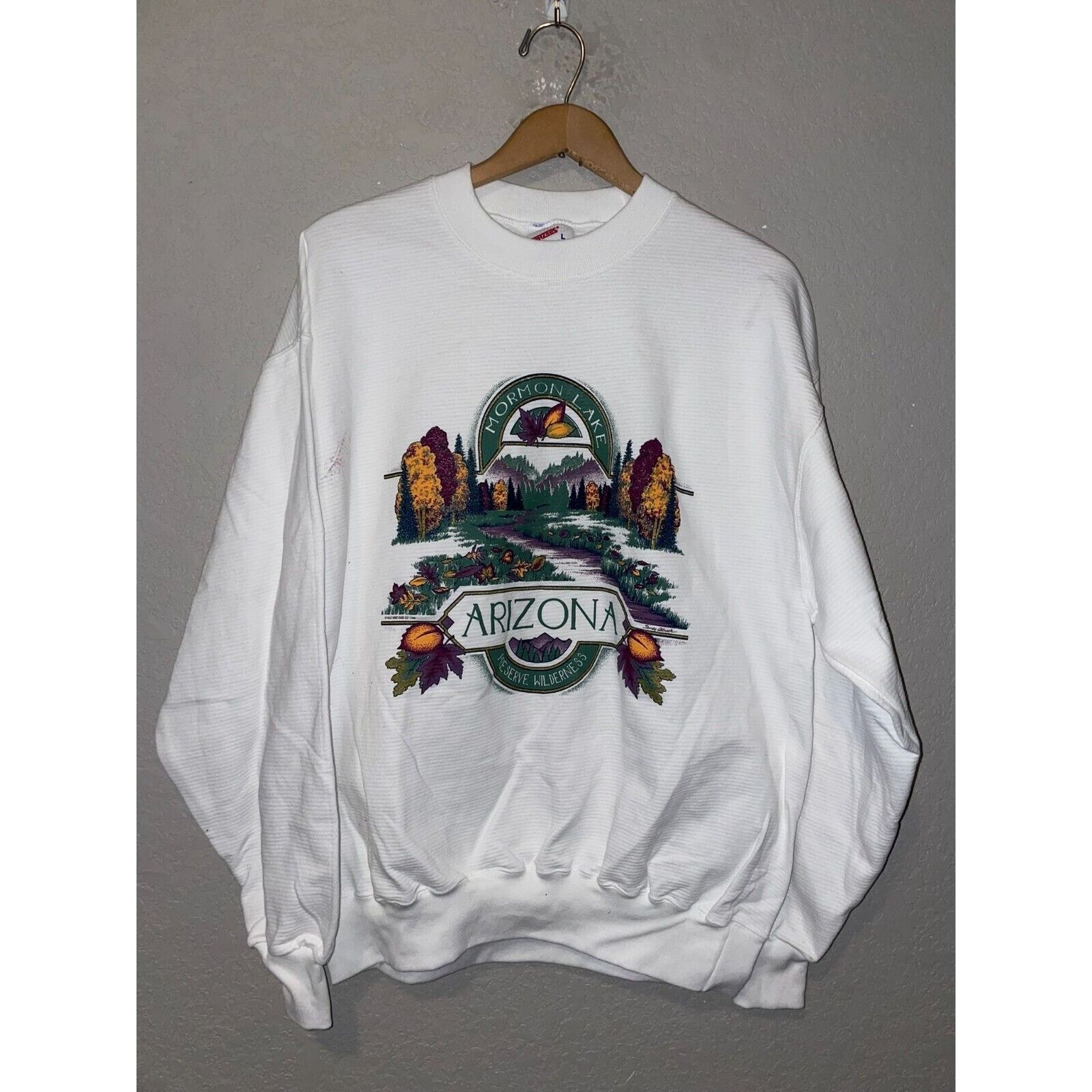 Jerzees Vintage Arizona Sweatshirt Mormon Lake Wilderness VTG 90s L Size US L / EU 52-54 / 3 - 1 Thumbnail