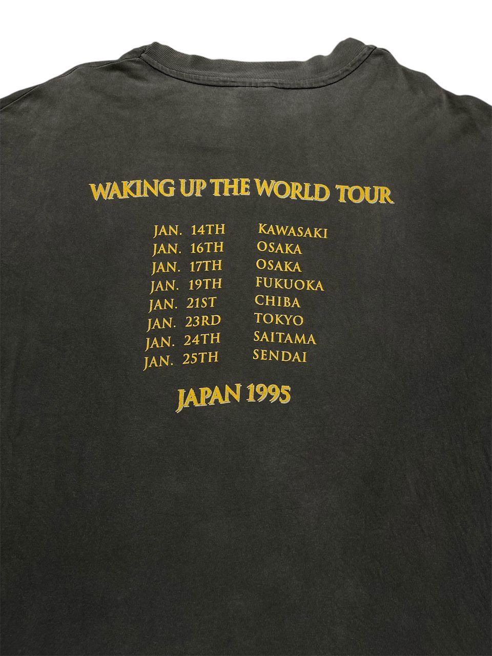 Band Tees × Vintage Vintage 90s Dream Theater Waking Up The World Tour Japan Size US L / EU 52-54 / 3 - 15 Thumbnail