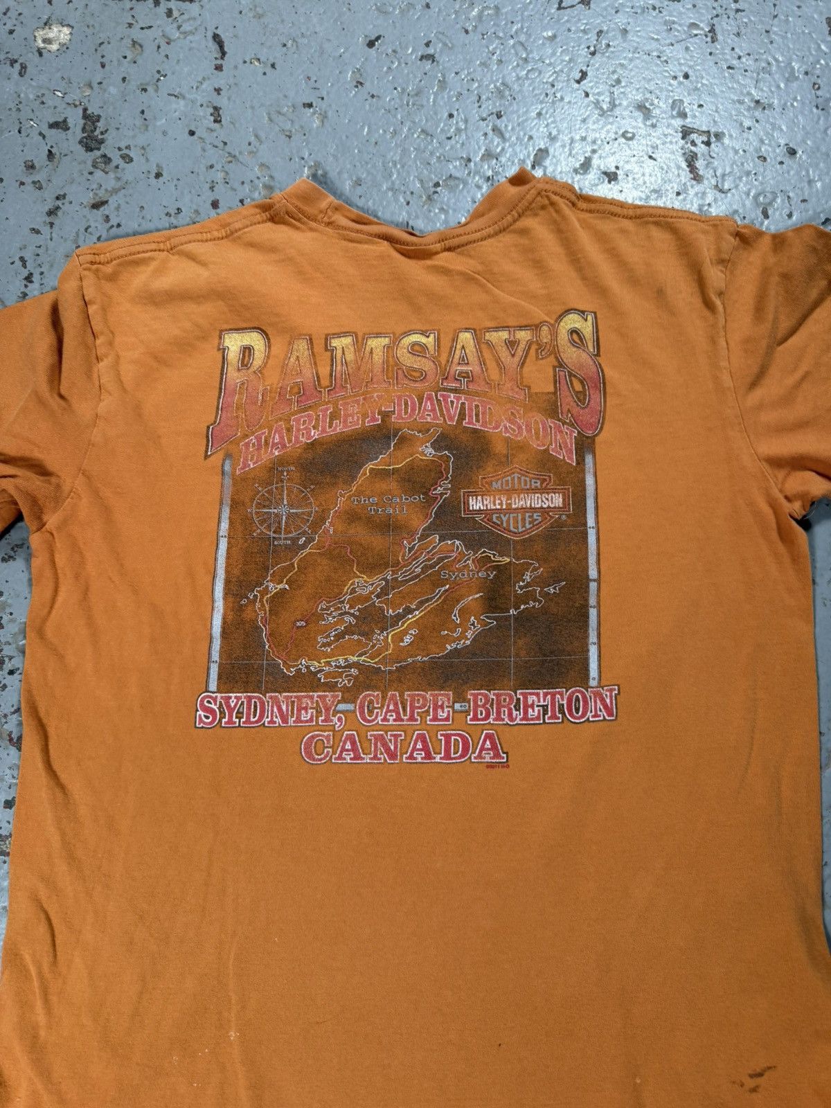 Harley Davidson Distressed Sun Faded Burnt Orange Harley Davidson Tee Size US M / EU 48-50 / 2 - 9 Thumbnail