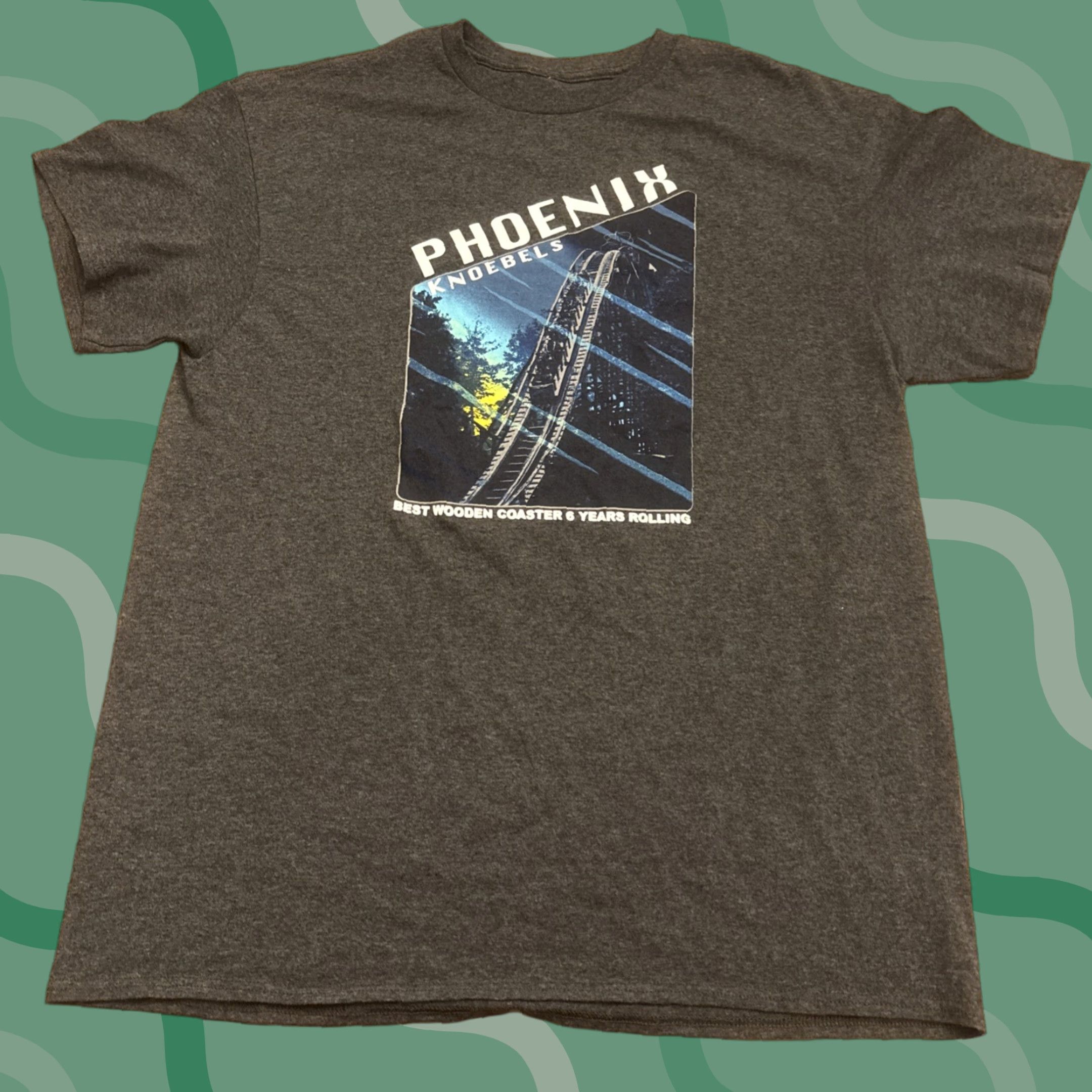 Vintage Knoebels Amusement Park Phoenix Roller Coaster T Shirt Gray M Mens EUC Size US M / EU 48-50 / 2 - 1 Thumbnail