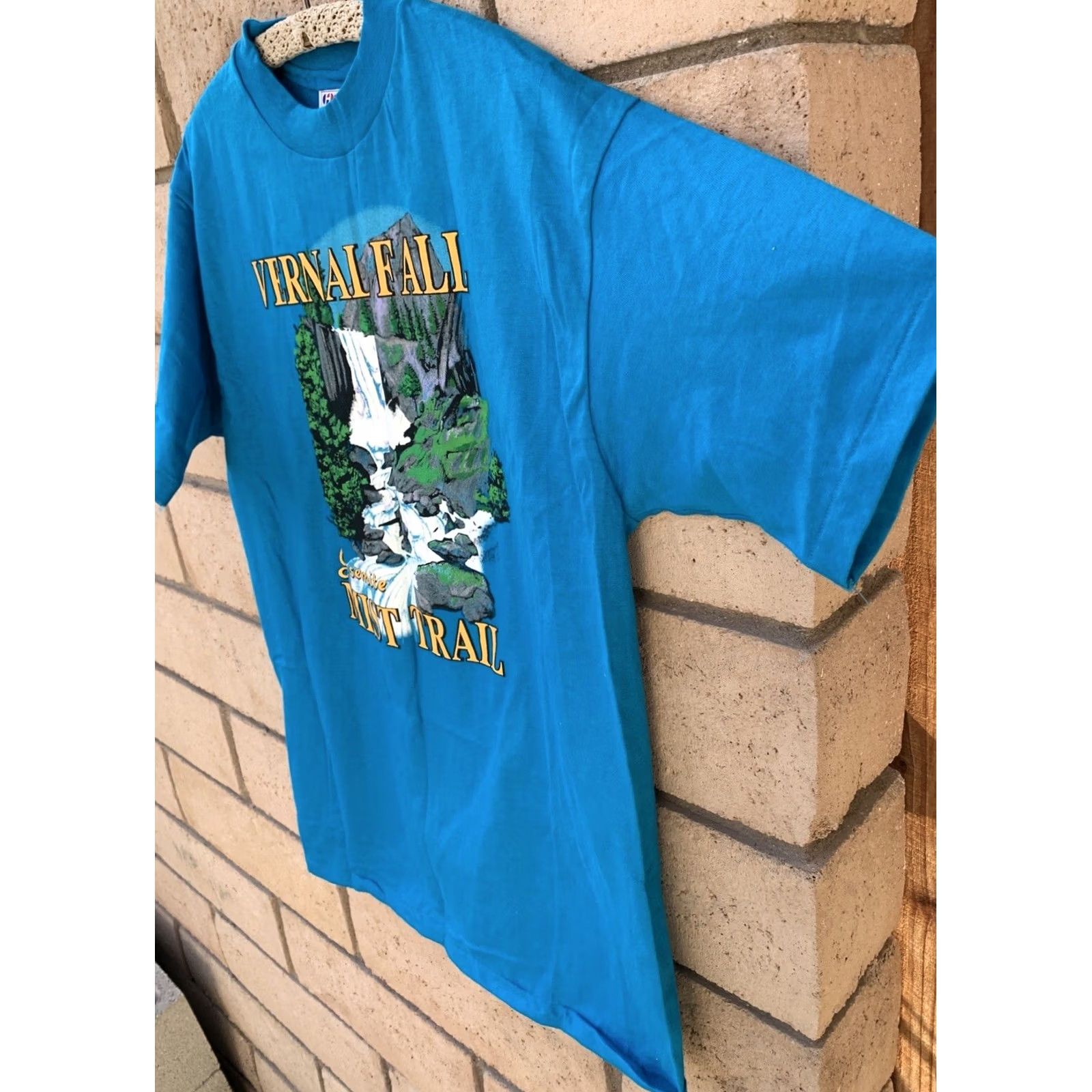 Hanes VINTAGE Hanes Beefy-T T Shirt XL blue 80s 90s California Nature Graphic Print Men XS? Size US XL / EU 56 / 4 - 5 Thumbnail