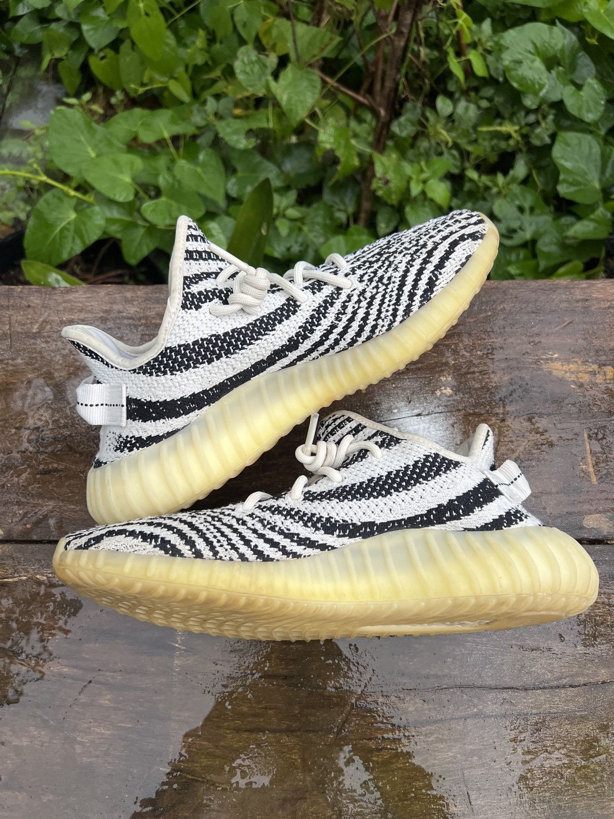 Yeezy Zebra Cp9654 Adidas Yeezy Boost 350 V2 Zebra Size Rep
