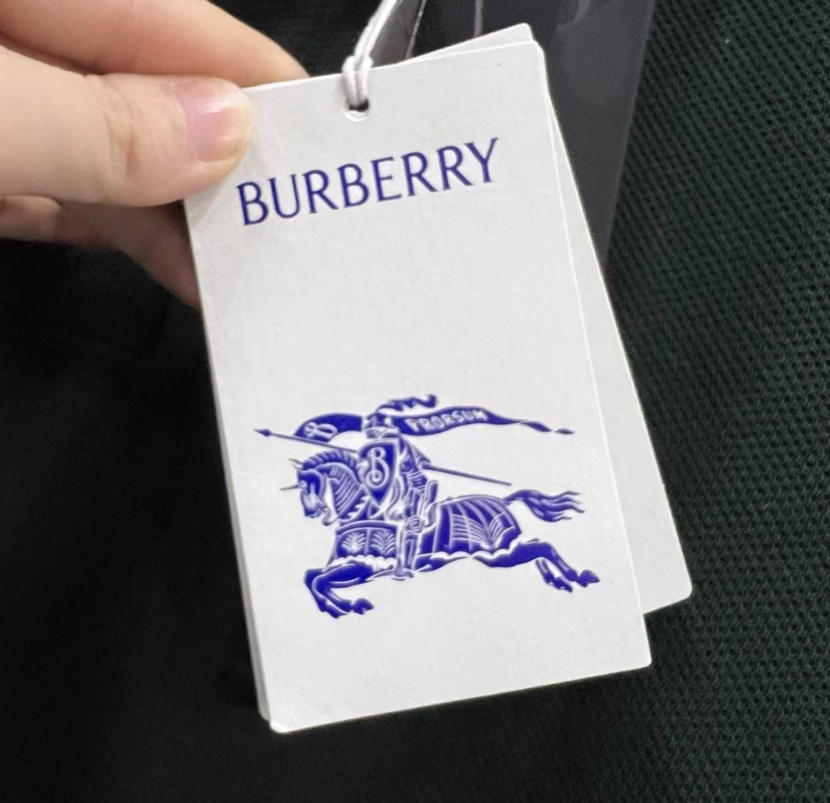 Burberry Burberry Dark Green Back Embroidered Polo Shirt J41 Size US XL / EU 56 / 4 - 5 Thumbnail