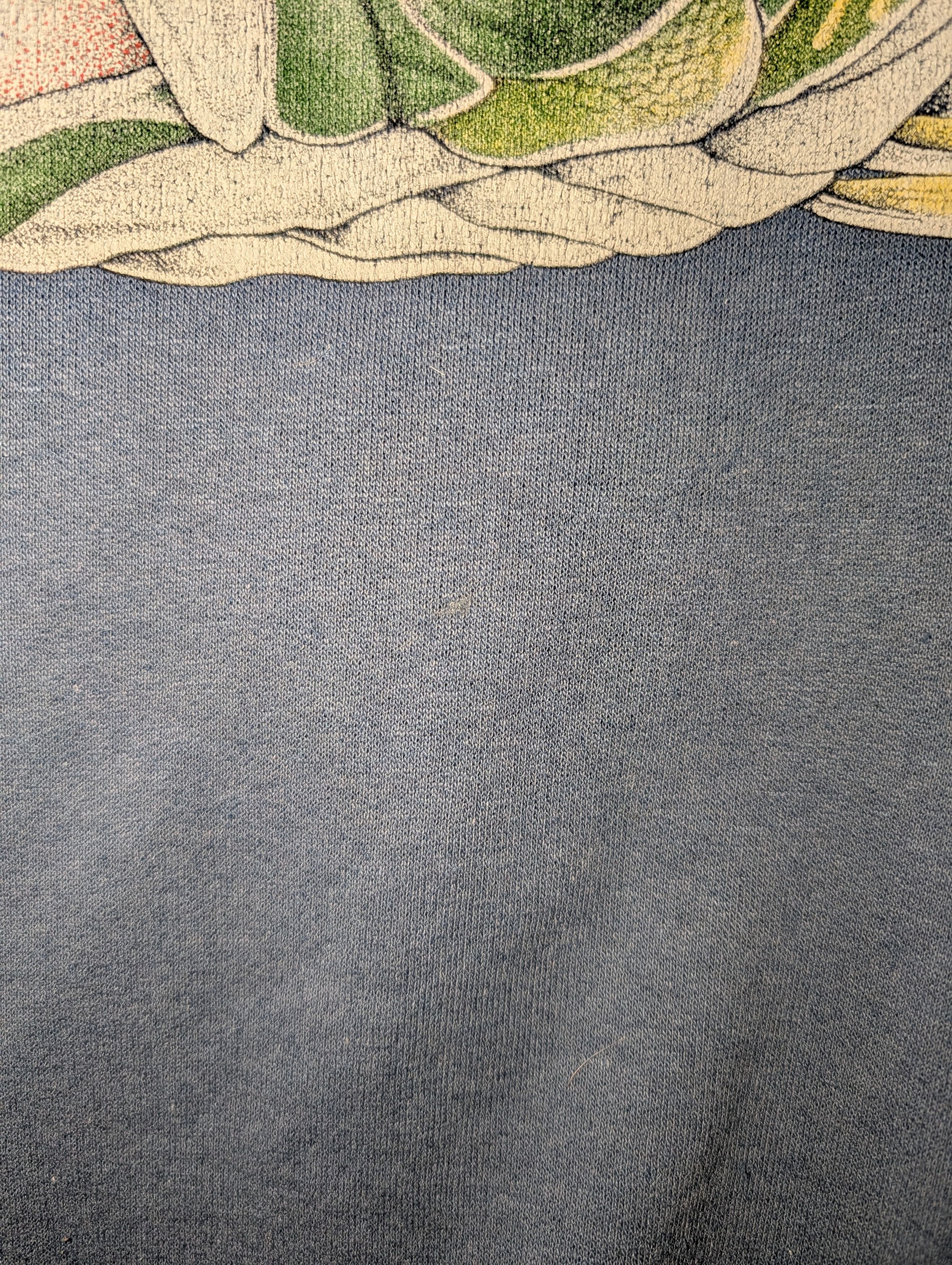 Arts & Science Vintage 90s Bass Animal Nature Wildlife Canada Sweatshirt Size US XL / EU 56 / 4 - 5 Thumbnail
