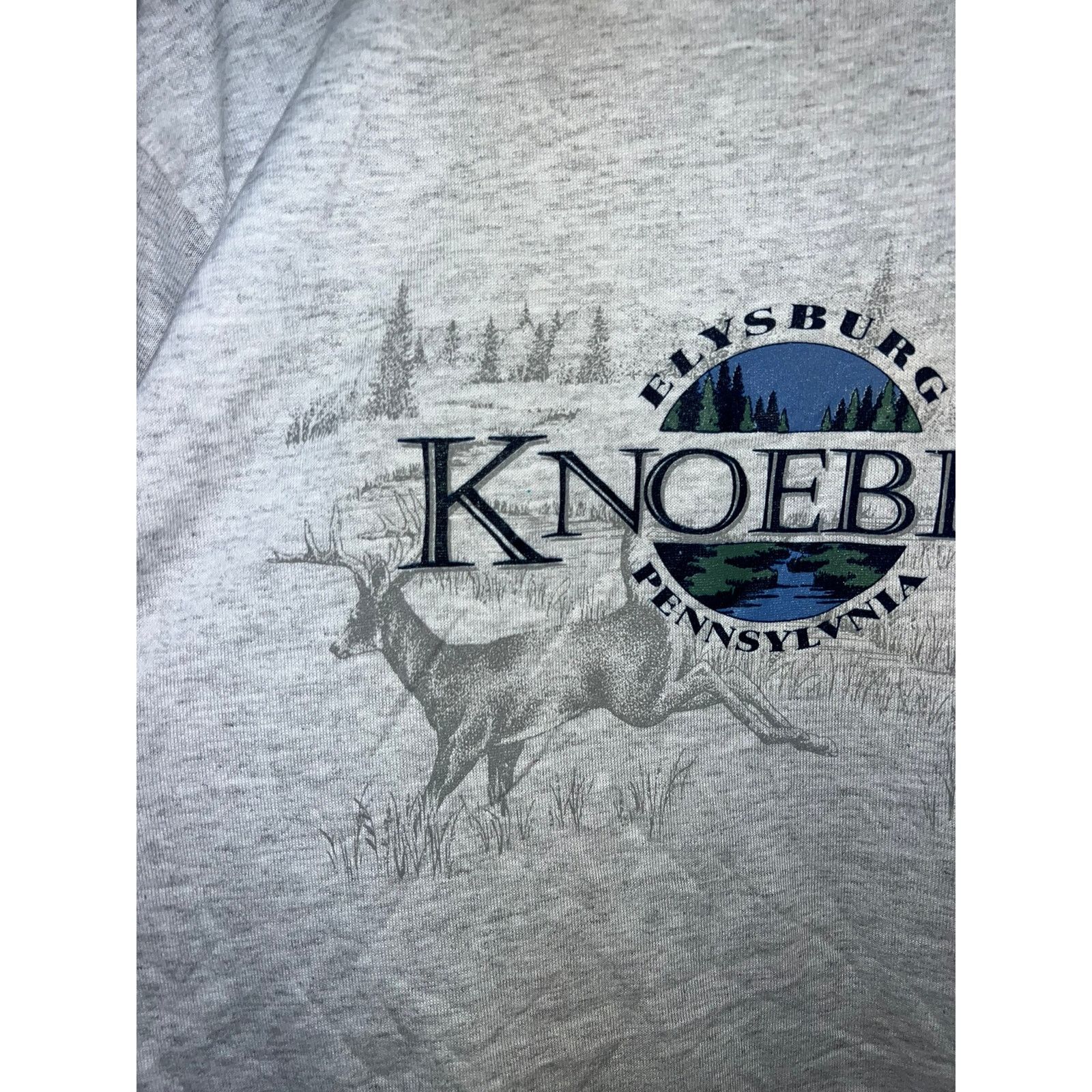 Jerzees Vintage Deer Shirt Elysburg Knoebels Pennyslvania Gray 90s L Size US L / EU 52-54 / 3 - 3 Thumbnail