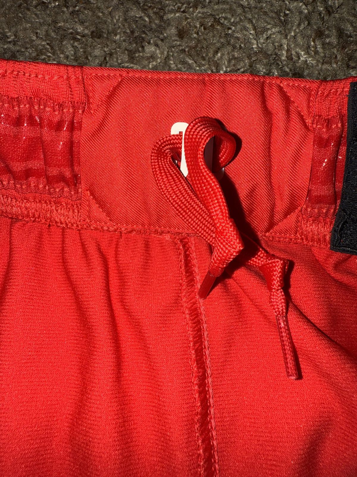 Nike Nike Men's NBA Toronto Raptor Dri-Fit ADV Team Issued Shorts Size US 34 / EU 50 - 10 Thumbnail
