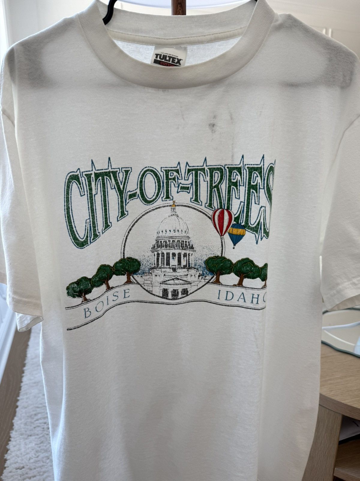 Tultex Vintage City of Trees Boise Idaho Balloon Nature Shirt Size US L / EU 52-54 / 3 - 11 Thumbnail