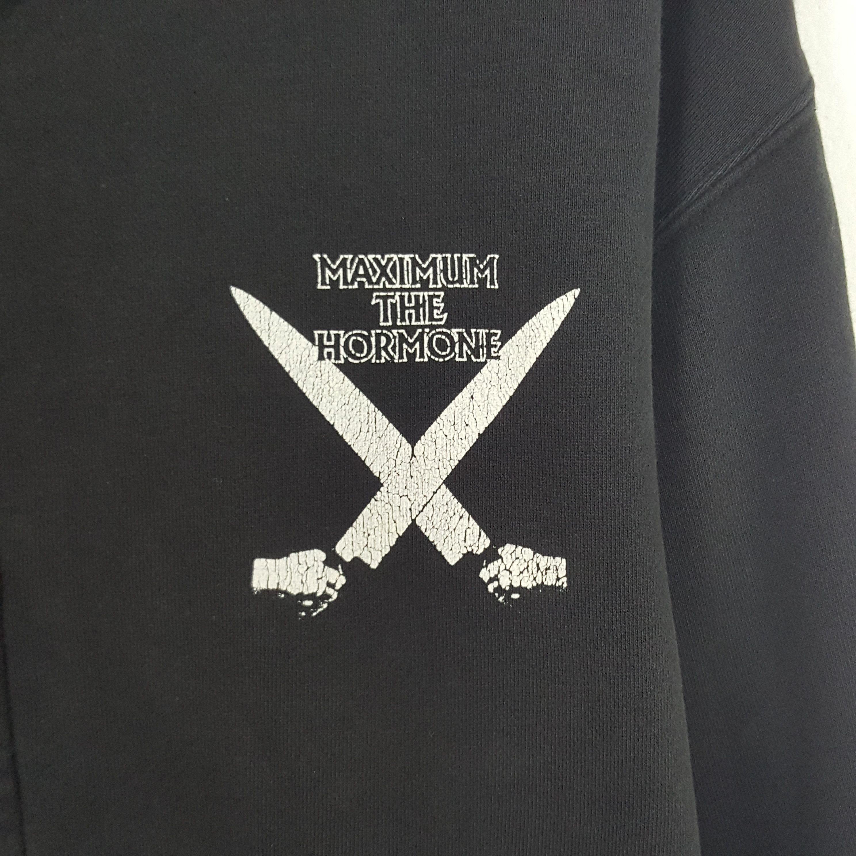 Band Tees × Japanese Brand × Vintage Vintage Maximum The Hormone Japanese Band Jacket Hoodies Size US L / EU 52-54 / 3 - 4 Thumbnail