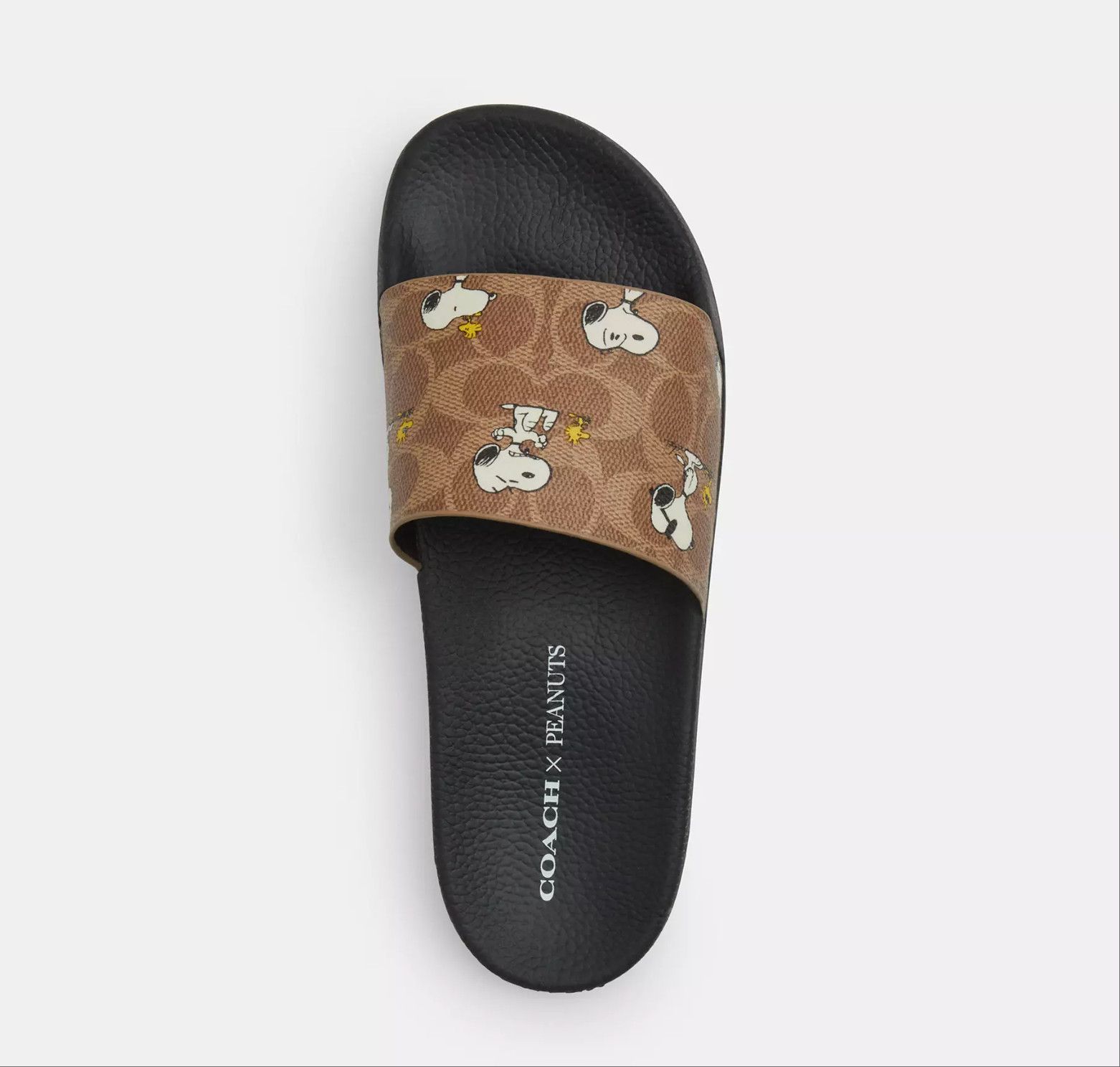 Coach women’s Peanuts Udele Sport Slide With Snoopy Print CBM96 Size US 10 / IT 40 - 11 Thumbnail